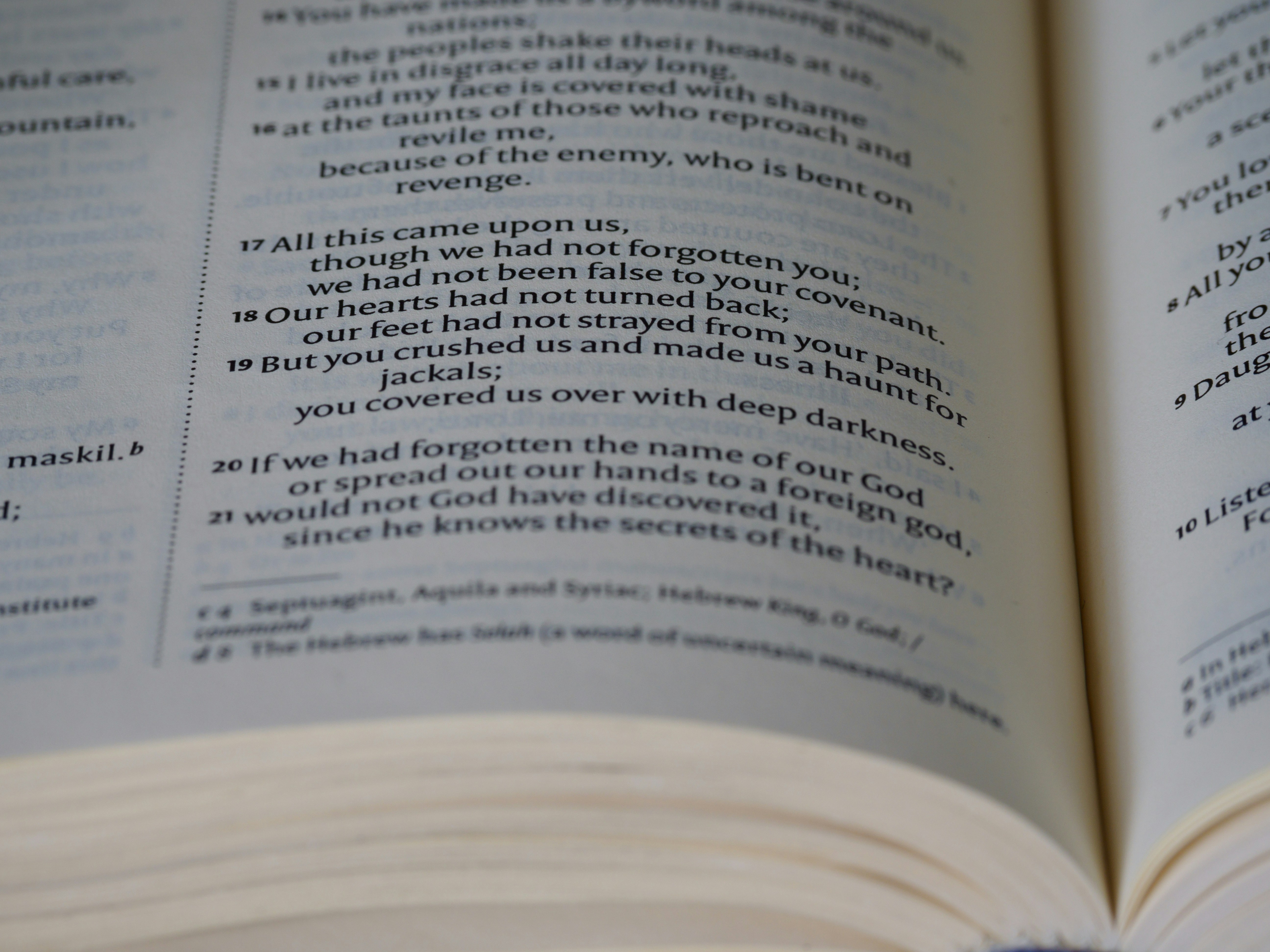 Photo by brett_jordan