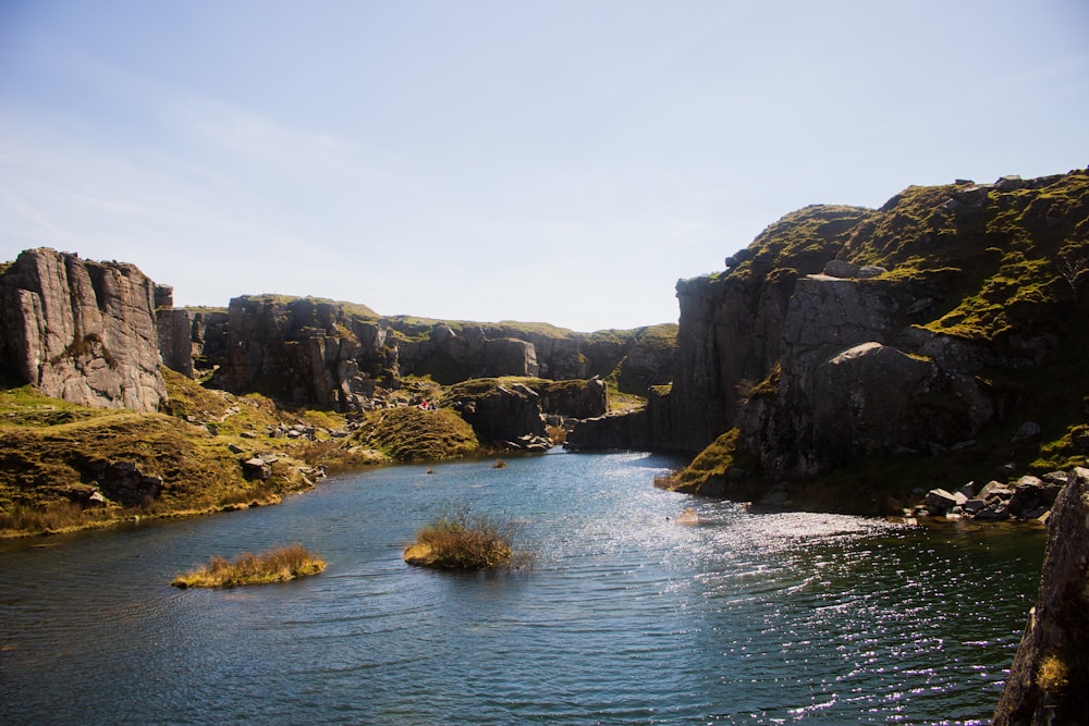 a body of water with rocks and plants around it