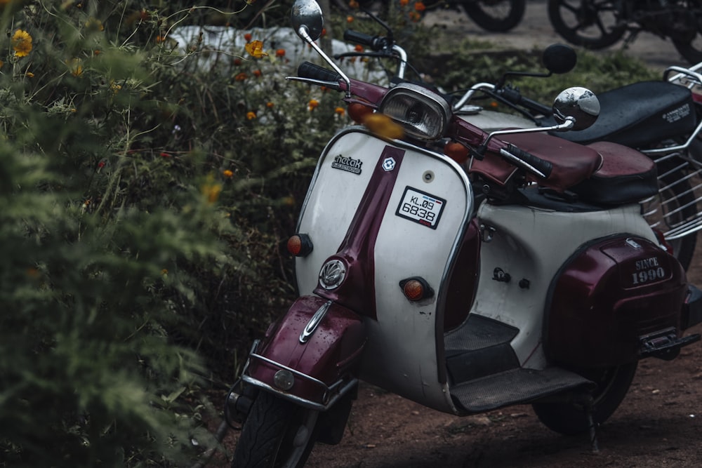 a motorcycle parked next to a bush