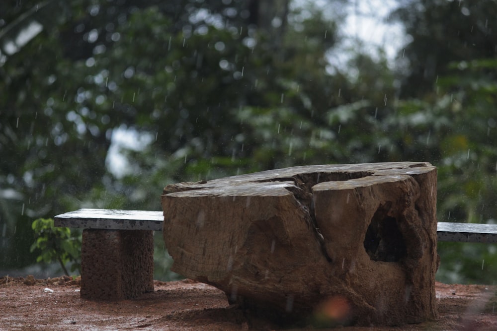 a bench sits unoccupied