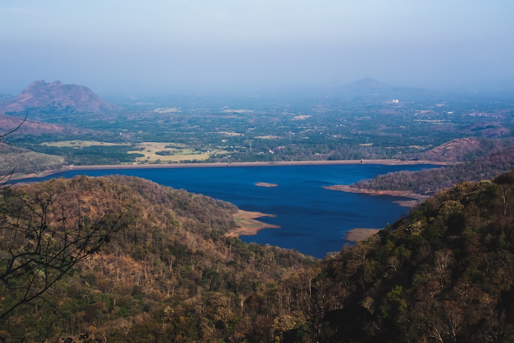 a body of water surrounded by trees