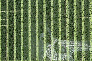 background pattern