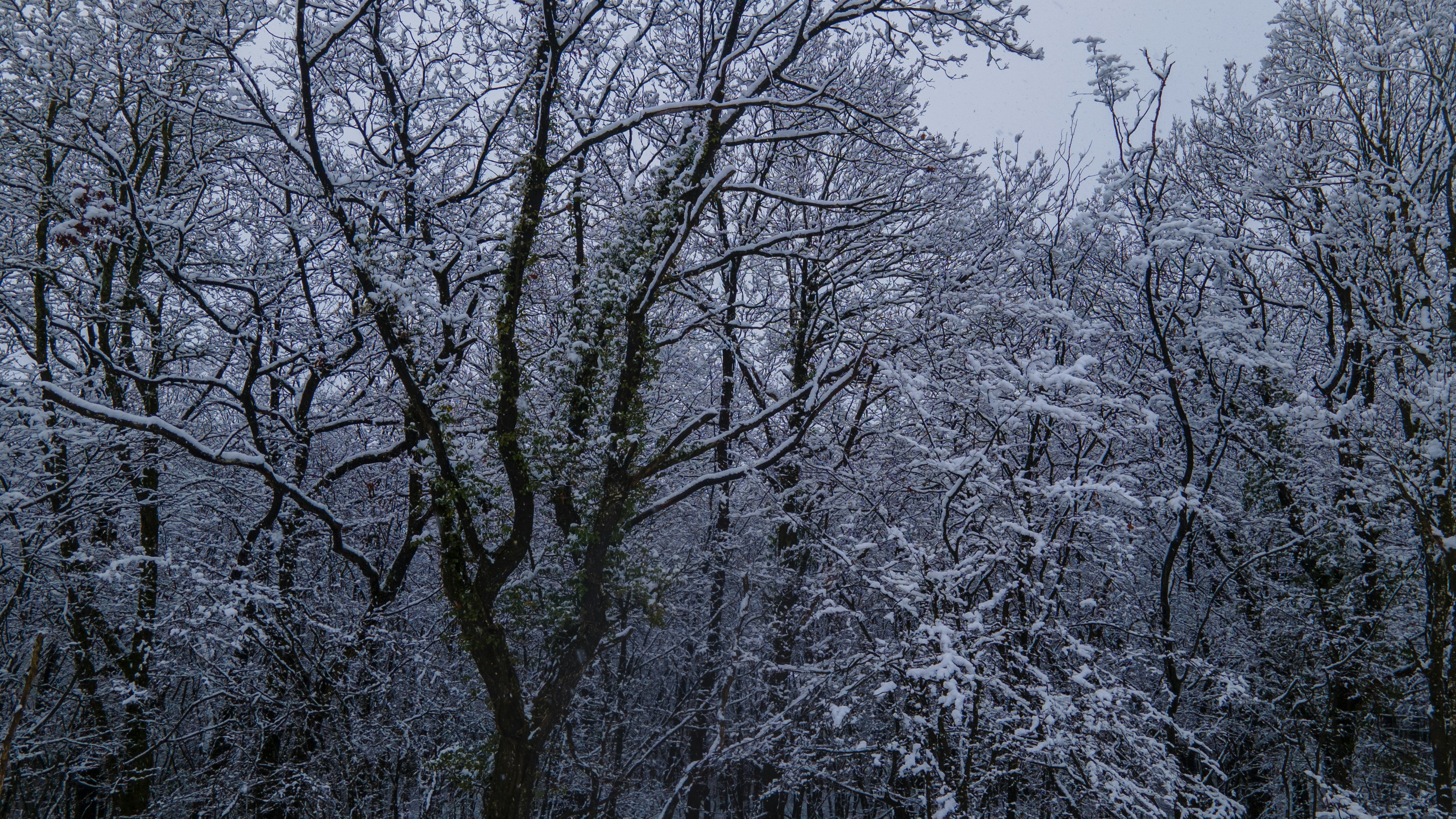 Photo by guillaumevdn