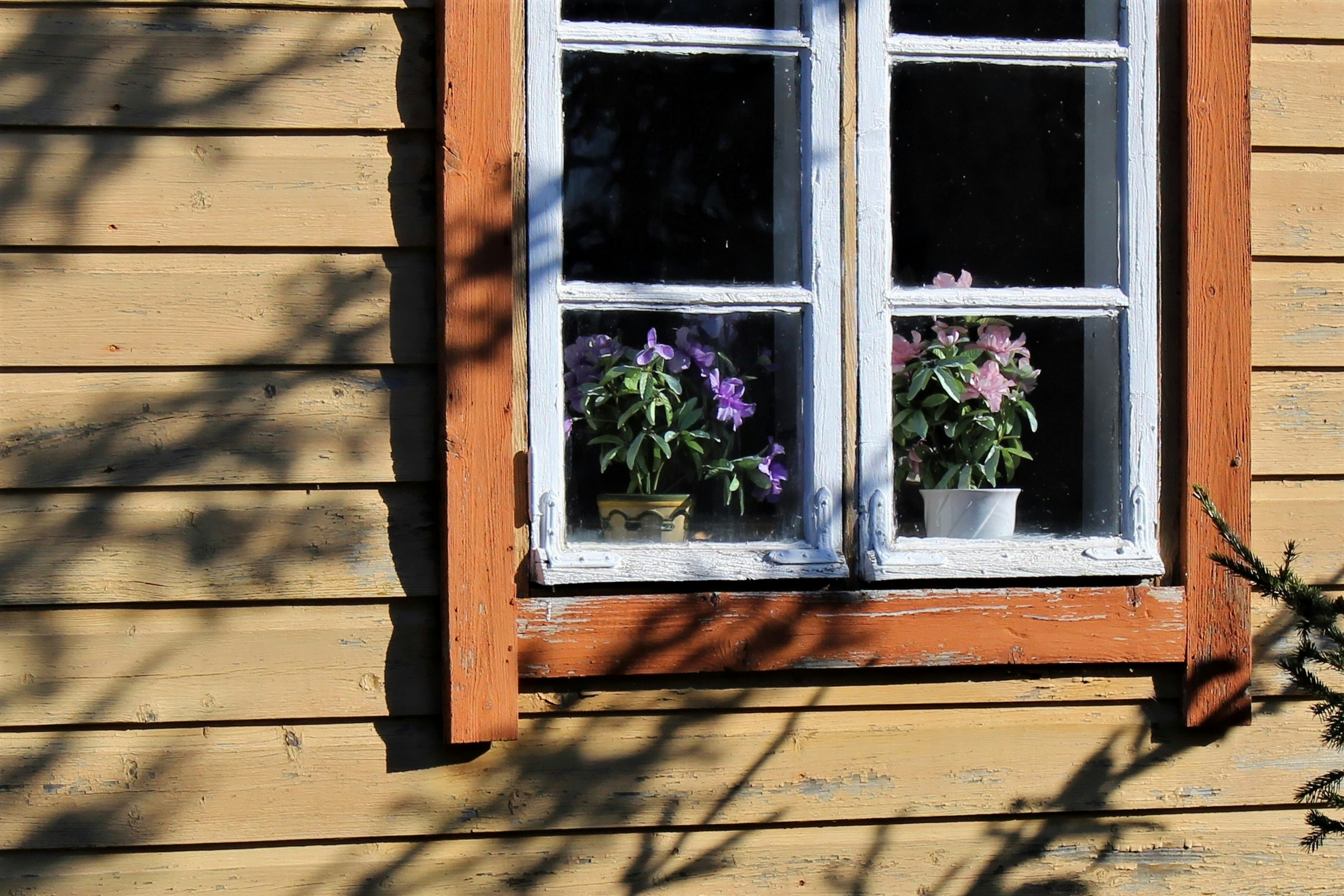 Photo by polarmermaid