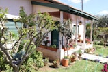 A charming house with a covered porch surrounded by a garden filled with various potted plants and flowers. The garden features a well-maintained lawn and a diverse range of shrubs and trees. The porch has hanging pots with plants and is supported by white columns. The building's exterior is painted white with green shutters and a red-tiled roof.