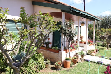 A charming house with a covered porch surrounded by a garden filled with various potted plants and flowers. The garden features a well-maintained lawn and a diverse range of shrubs and trees. The porch has hanging pots with plants and is supported by white columns. The building's exterior is painted white with green shutters and a red-tiled roof.