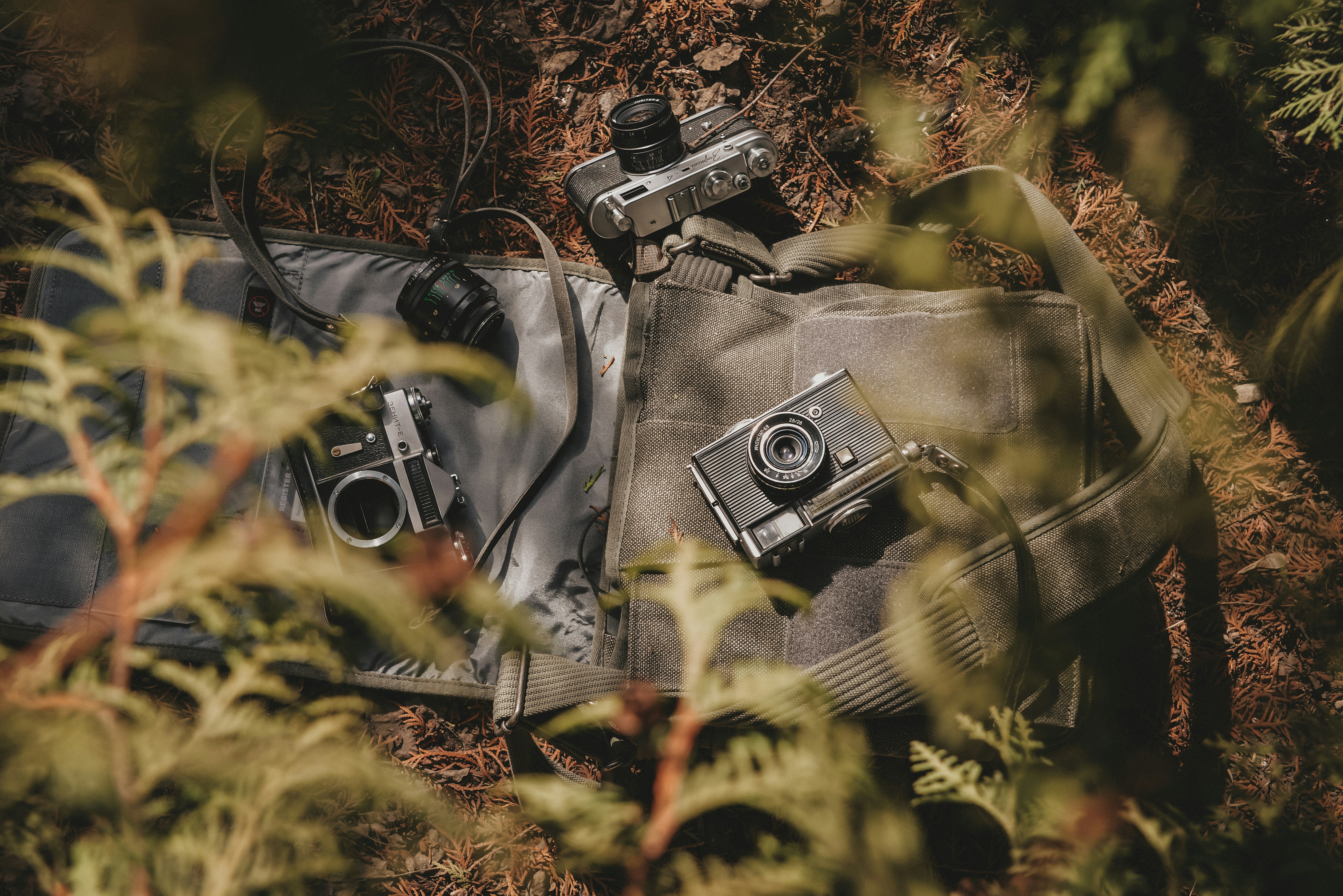 a person wearing a mask, 