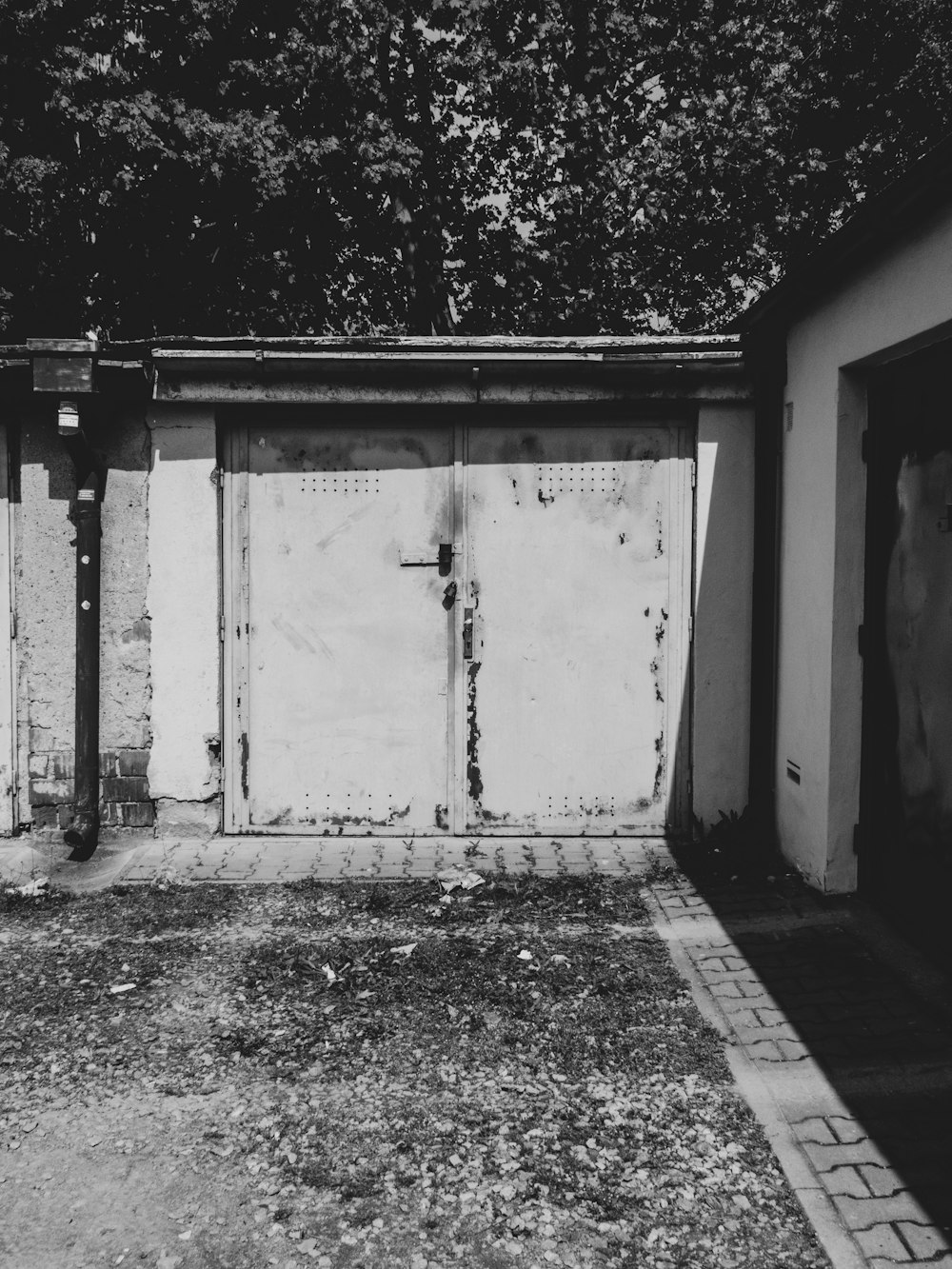 a white door with a tree in the background