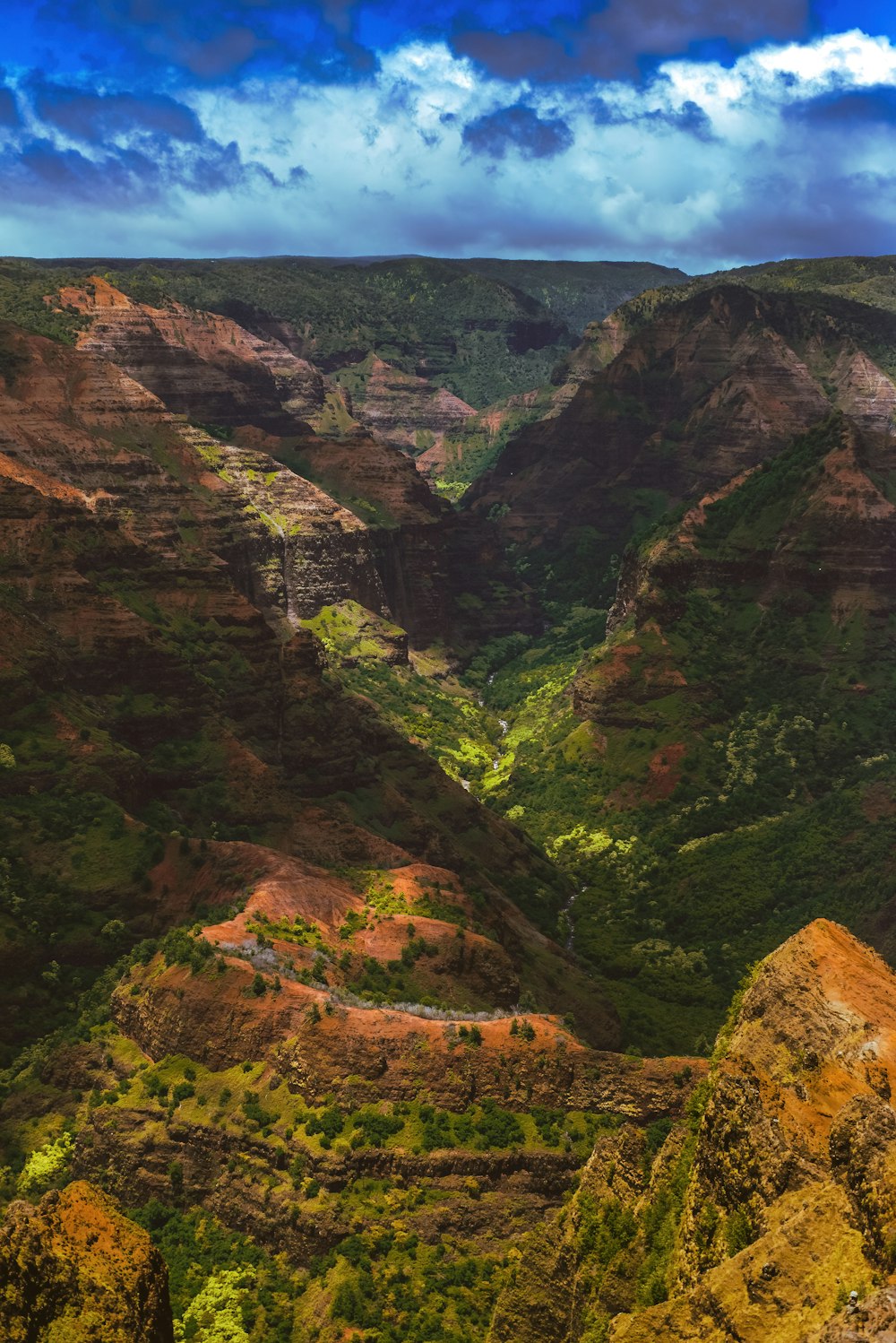 a landscape with mountains and trees with Waimea Canyon State Park in the background