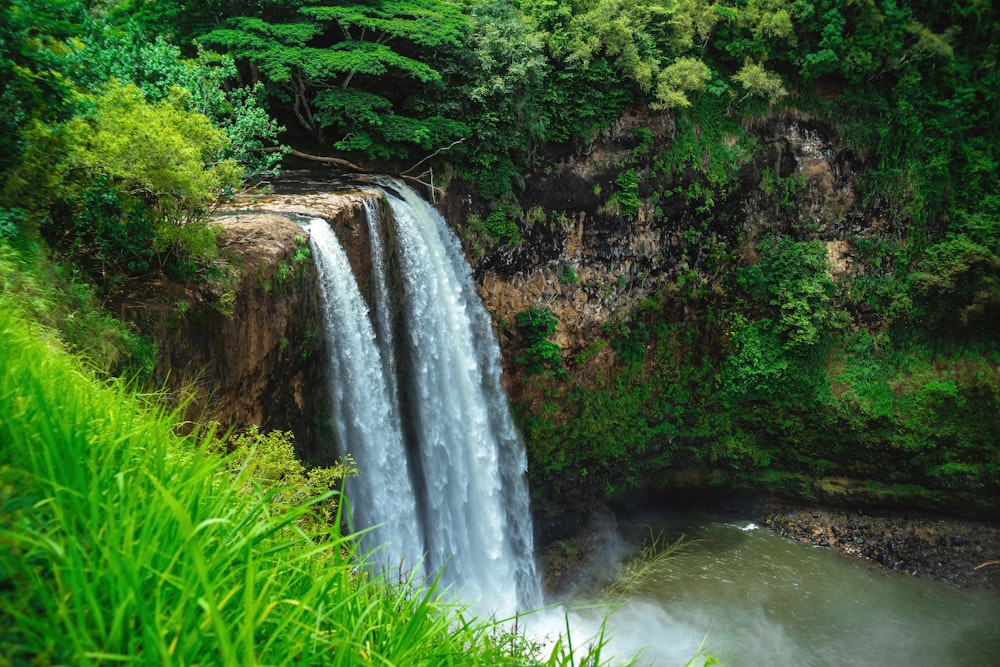 a waterfall in a forest