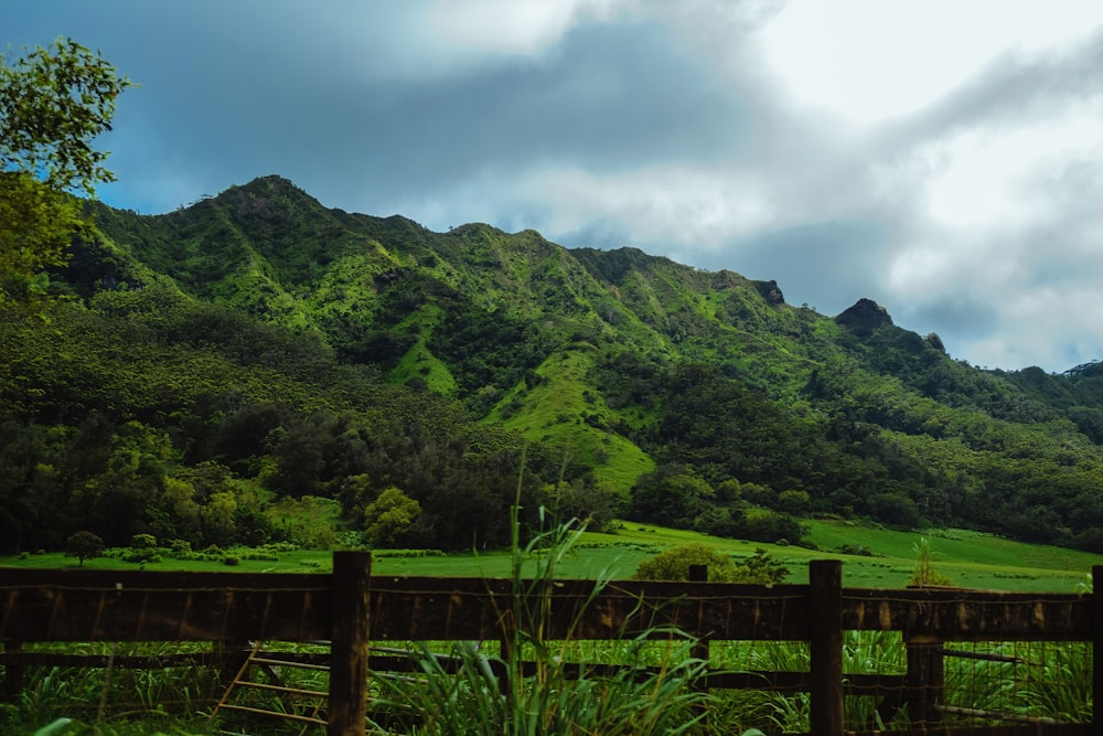 a fence in front of a green mountain