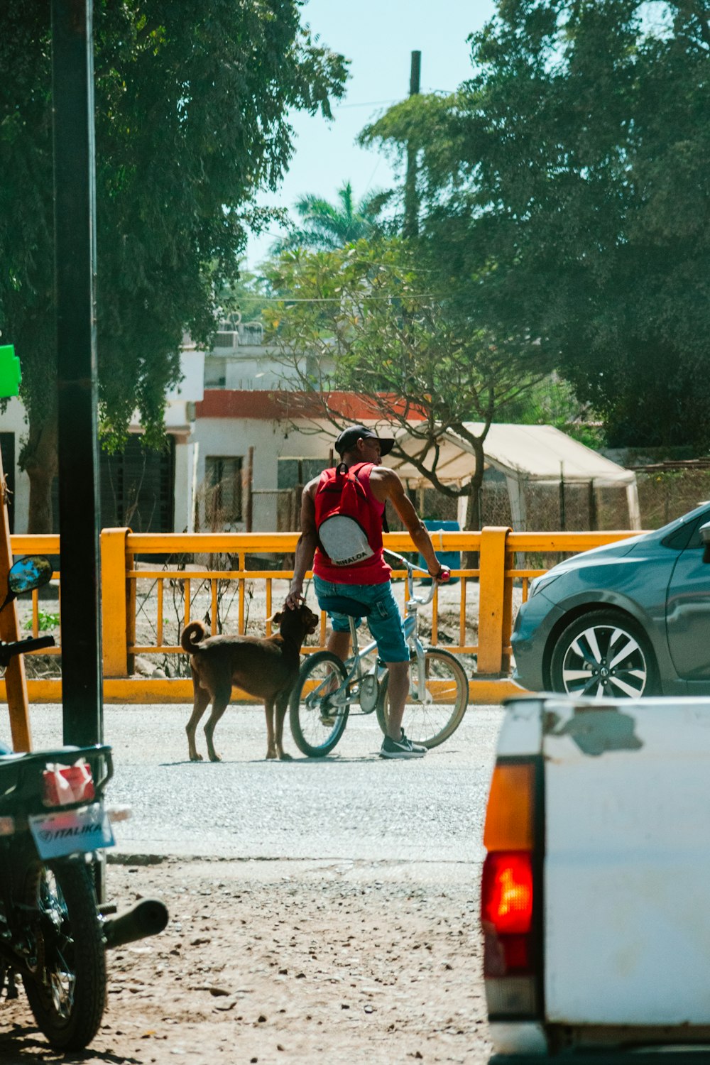 a person with a bicycle and a dog on a leash