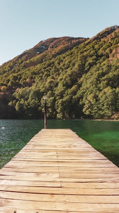 A wooden dock extends over a clear, green lake with lush forested mountains in the background. The scene is peaceful and captures the natural beauty of the landscape.