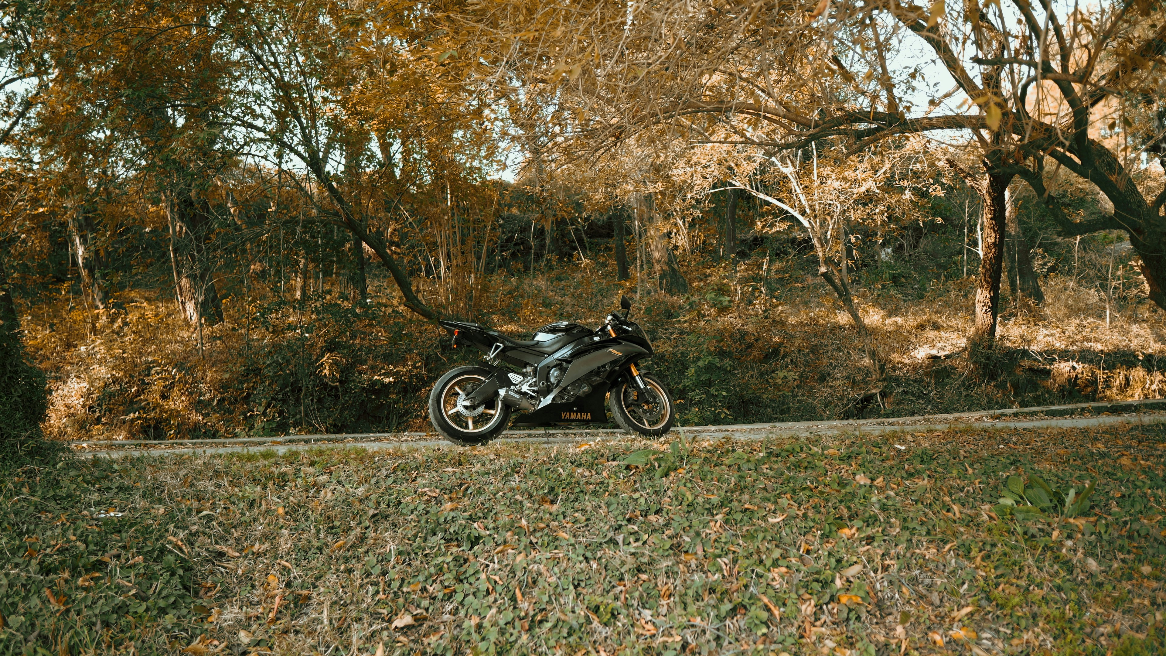 Photo by aliclicks306