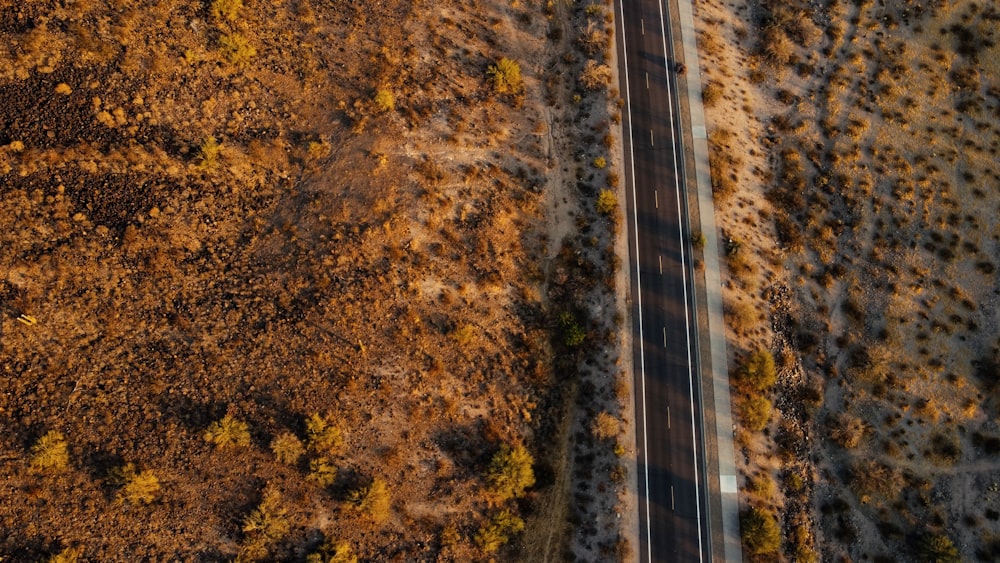 a road with a blue line