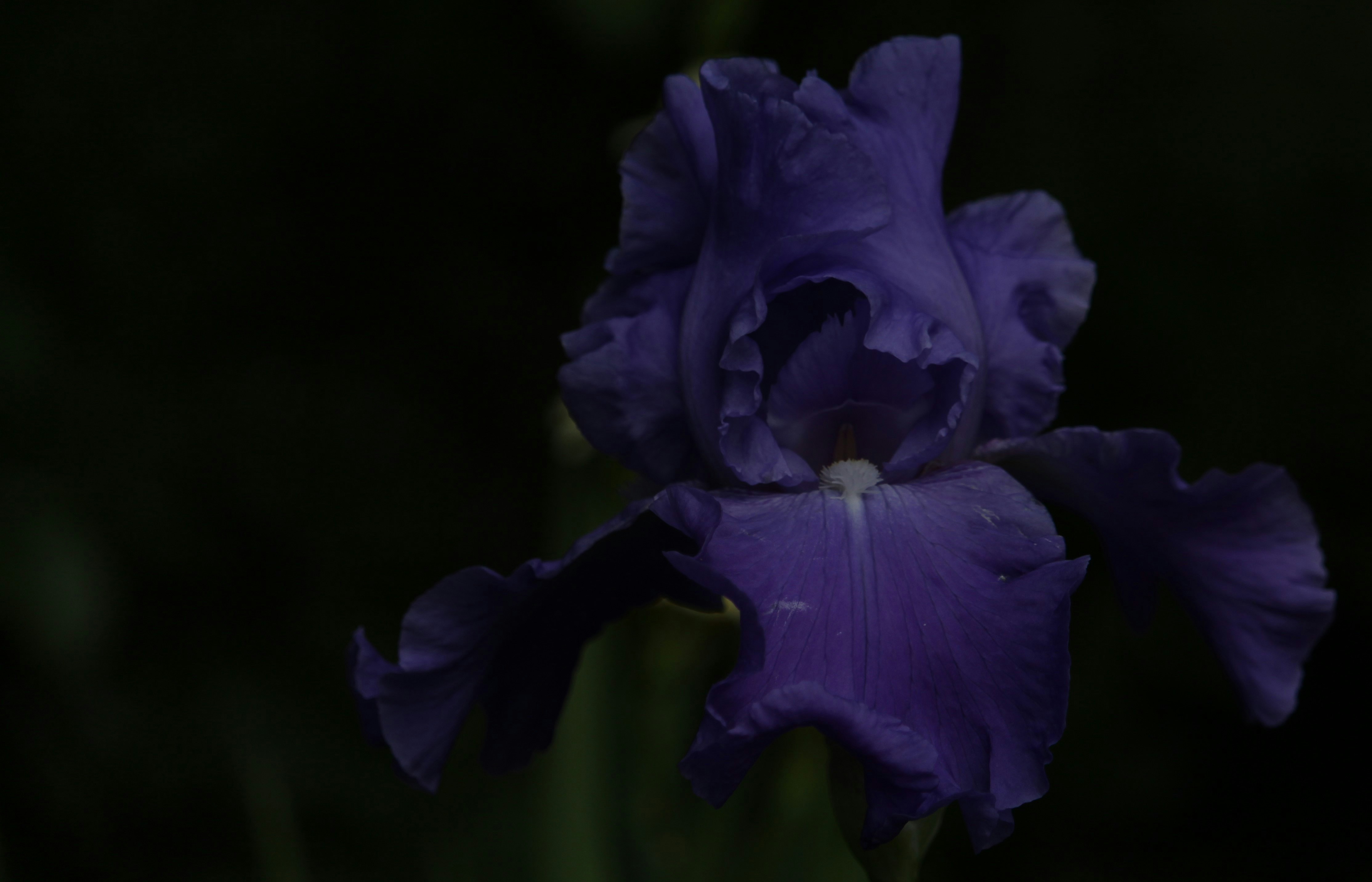 Photo by dustyrainbows