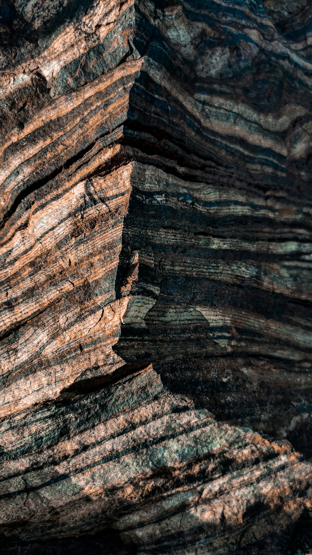 a close-up of a rock