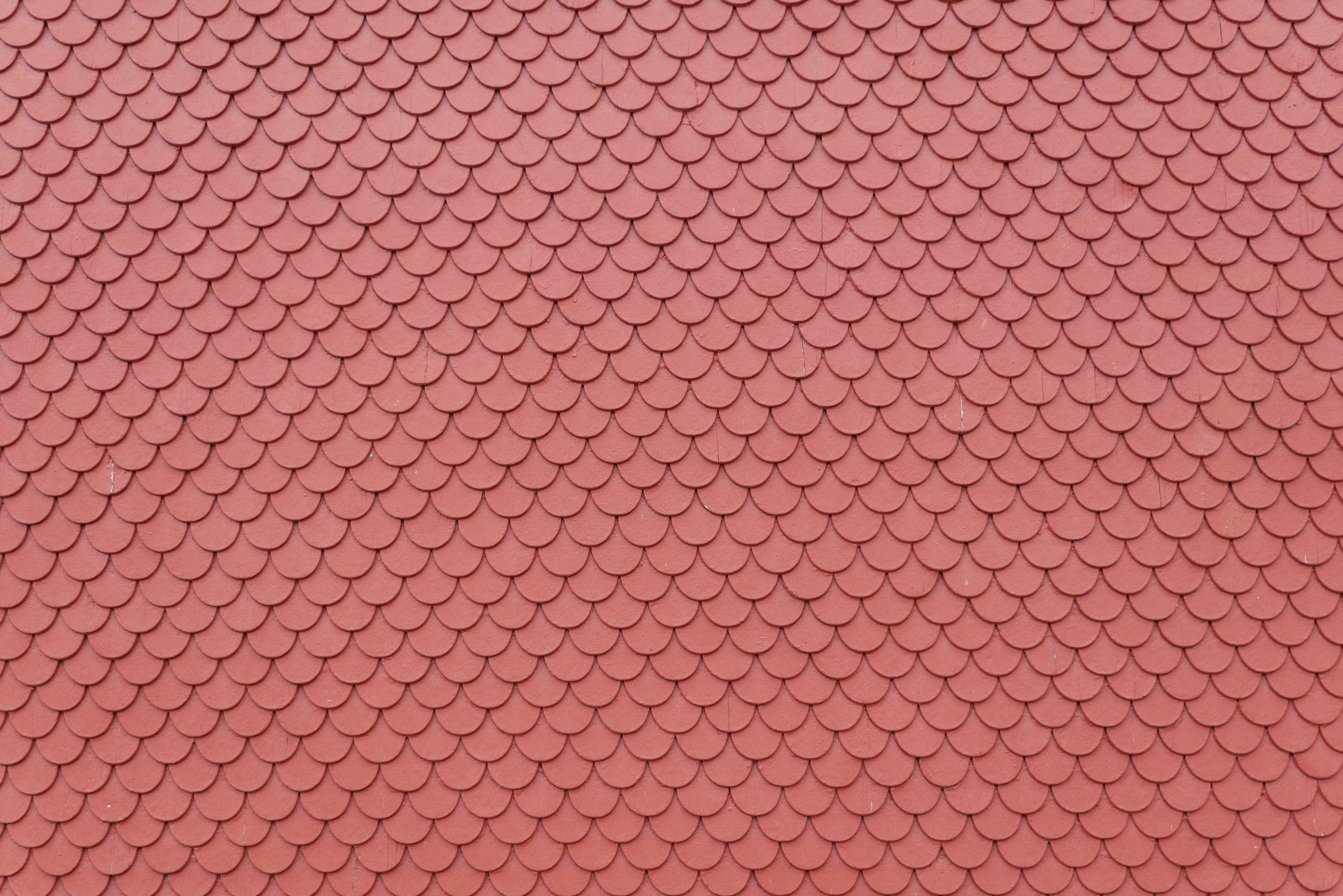 Photo by insist_persist