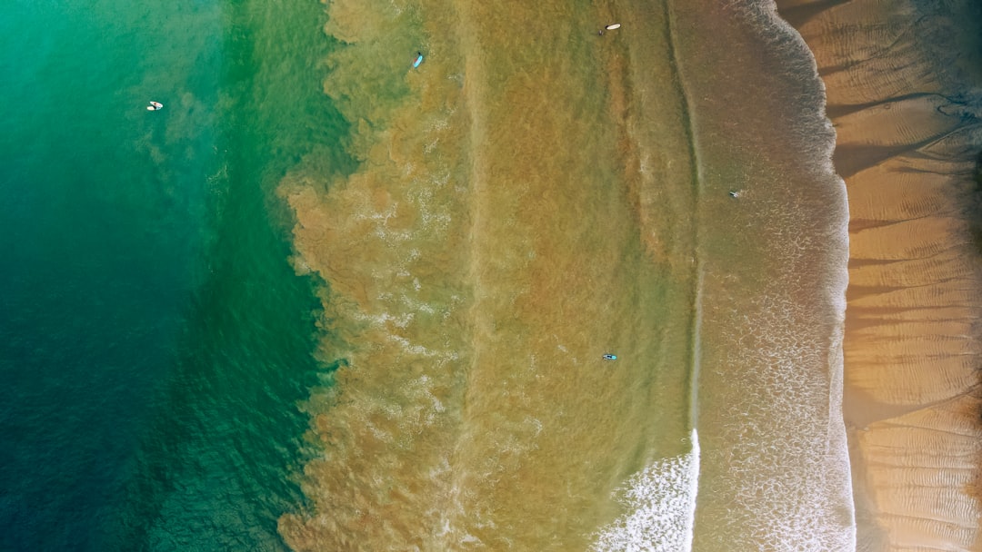 a beach with a body of water,