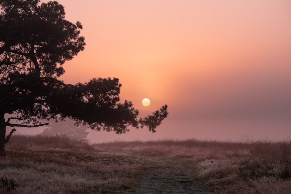 a sunset over a field