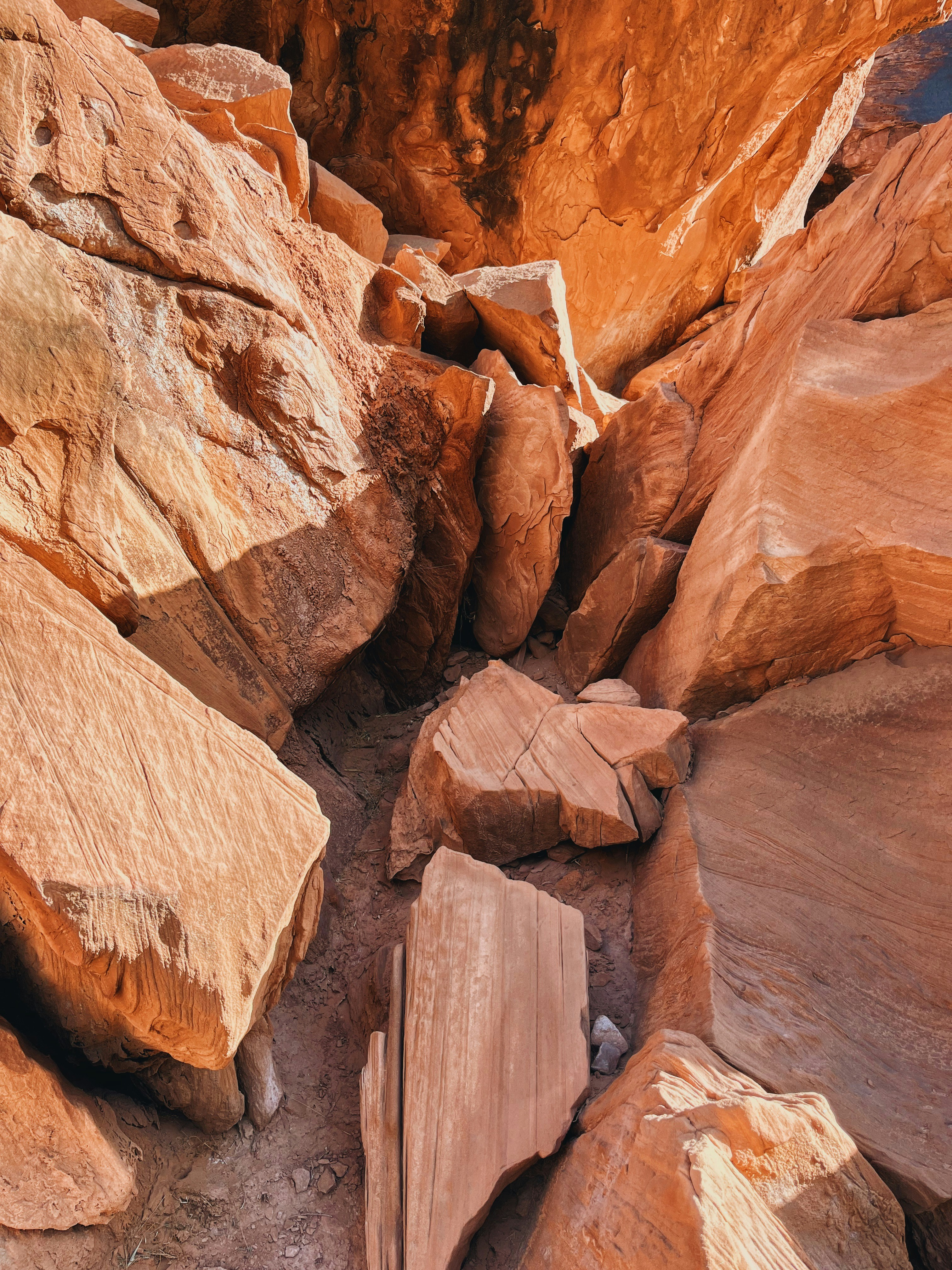 Photo by amberwineland