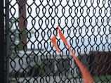 Installation of privacy tape on a chain link fence by workers outdoors.