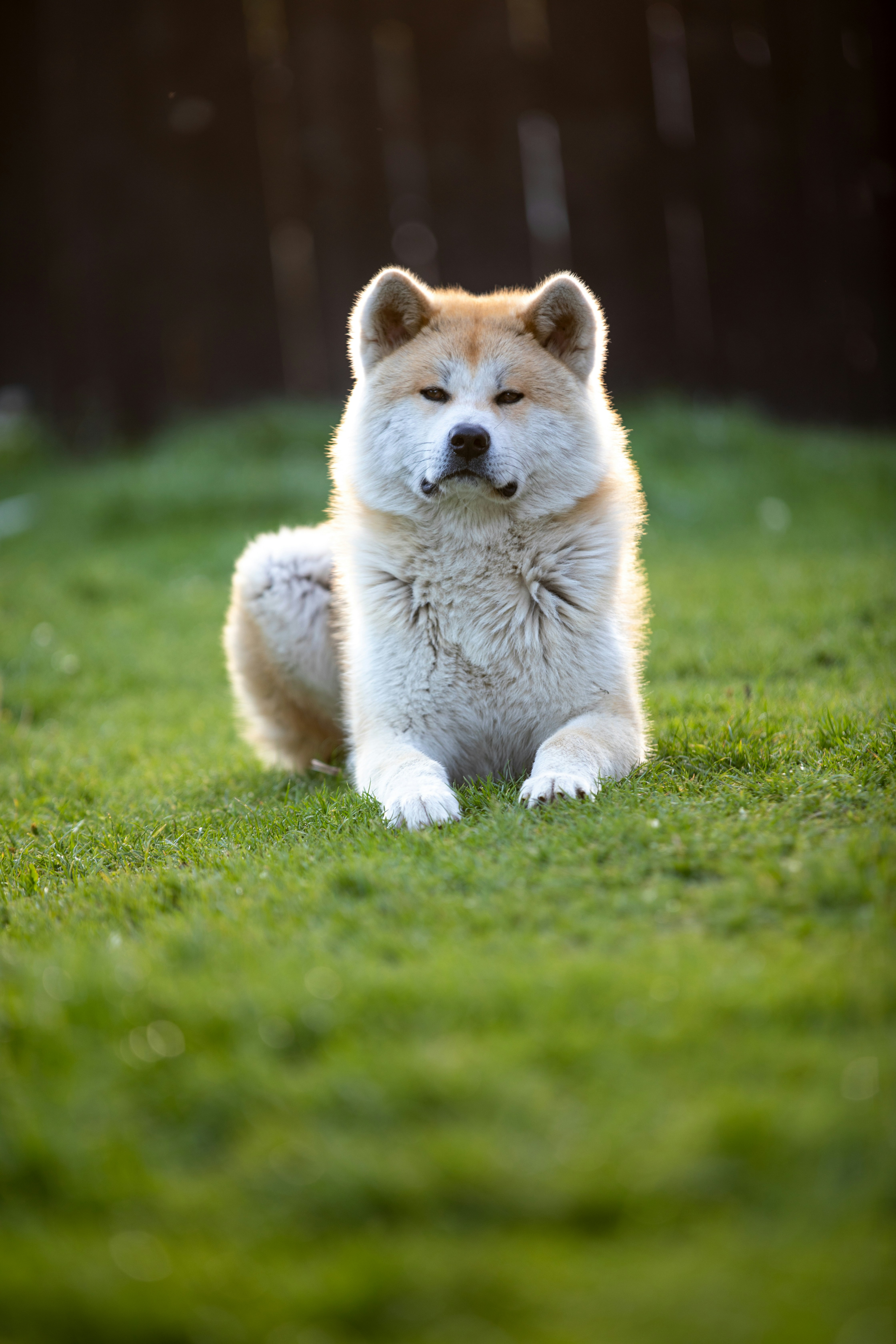 Photo by ovidiugruescu