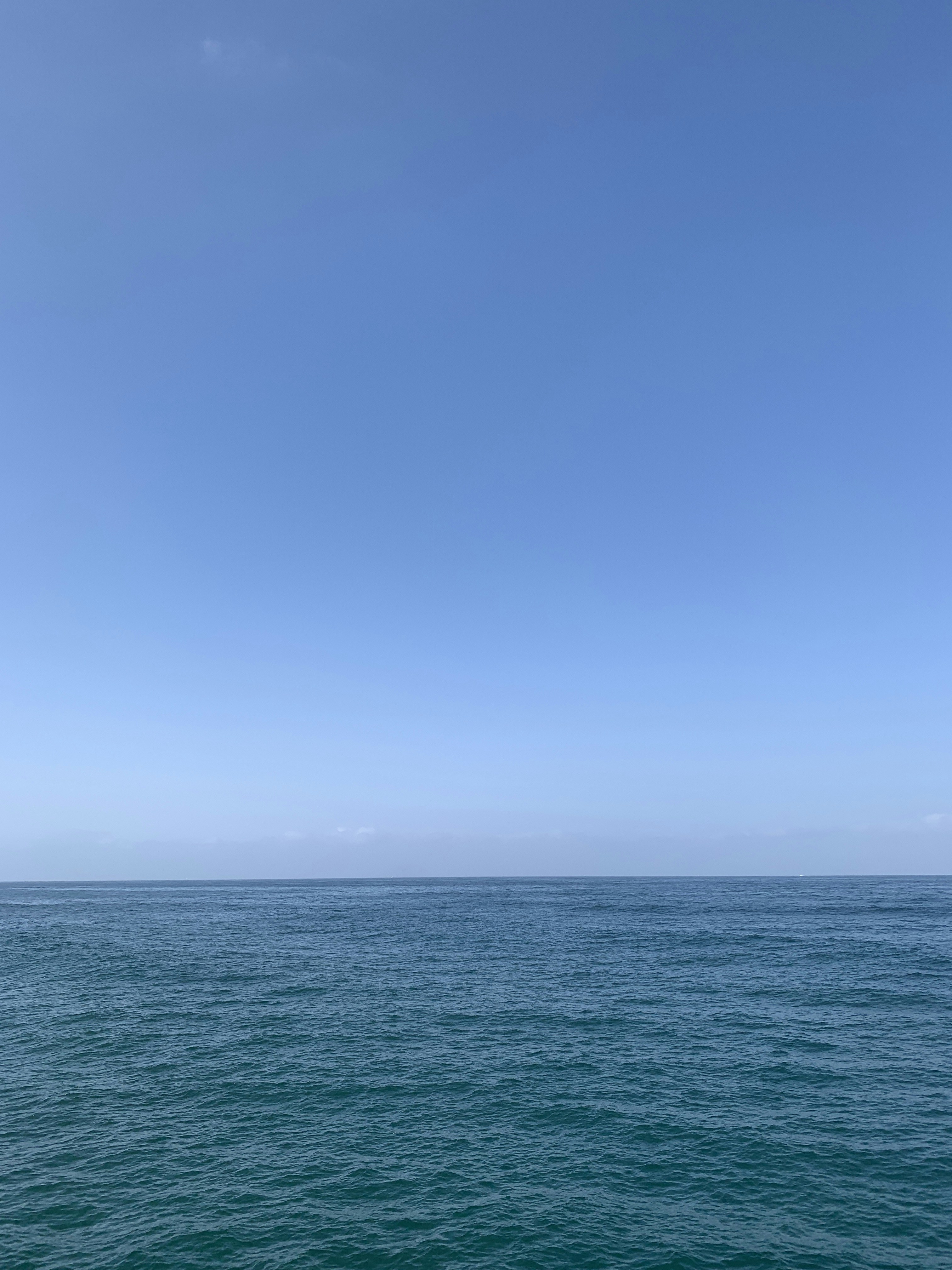 Photo by renemolenkamp