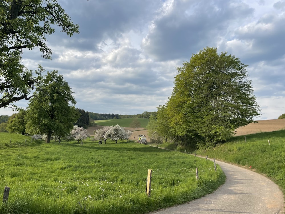 a road with trees and grass on the side