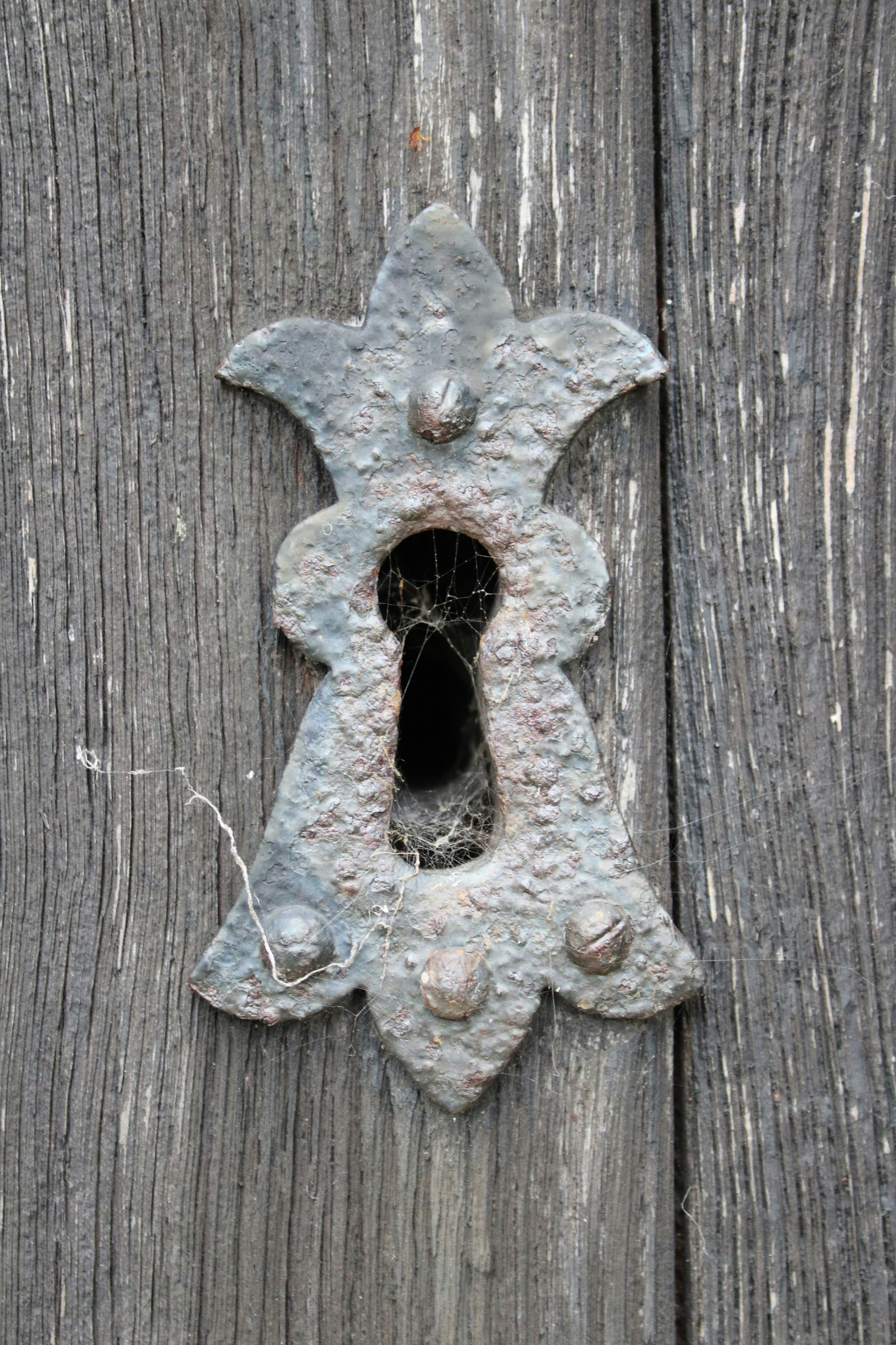 Photo by balesphotographyco