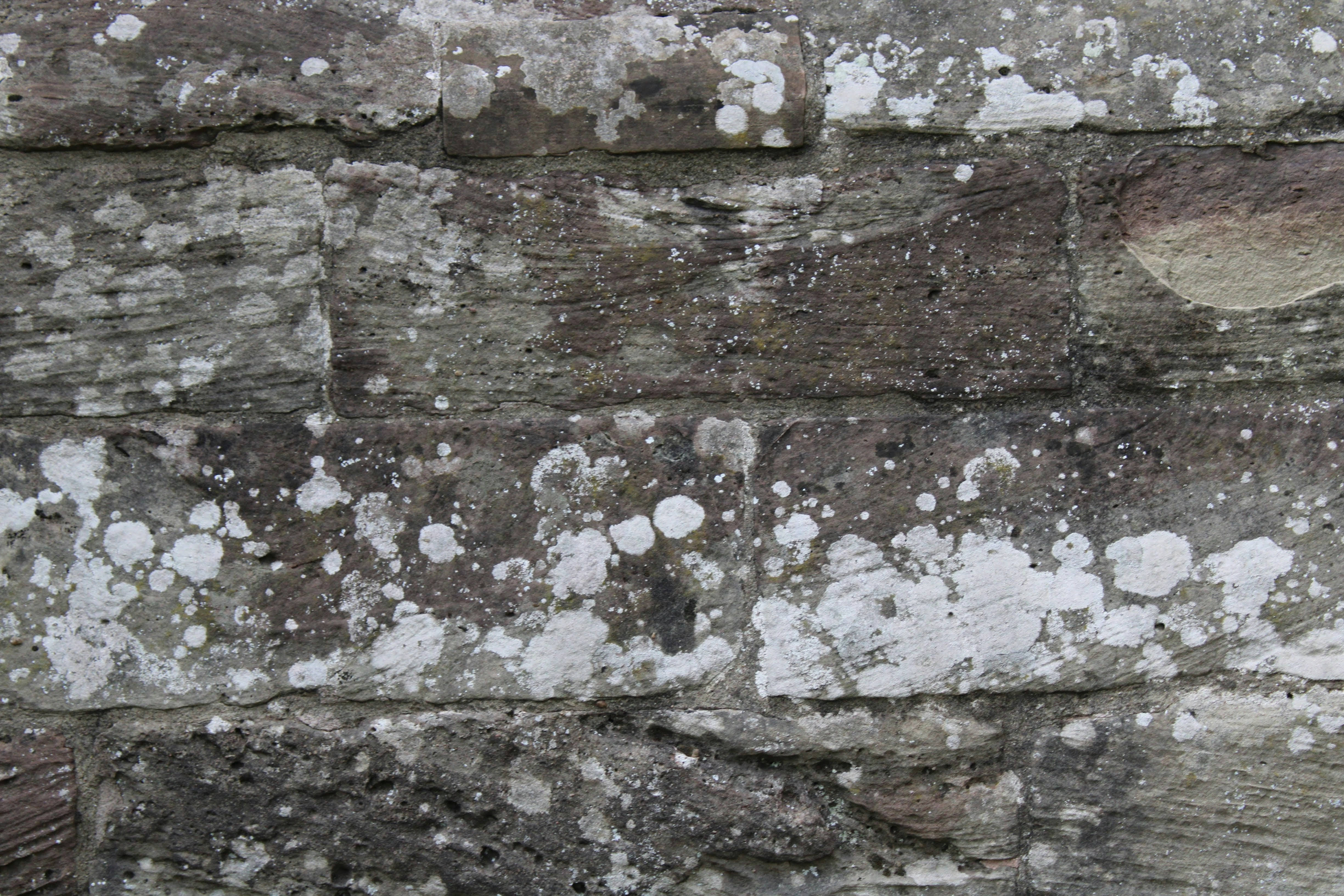 Photo by balesphotographyco