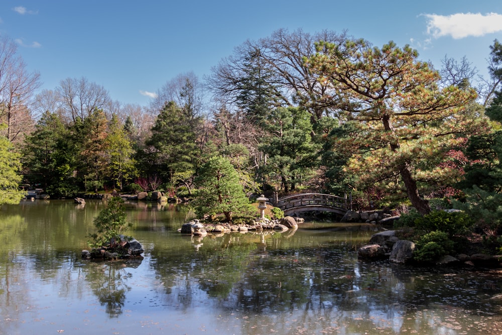 a river with a bridge and trees