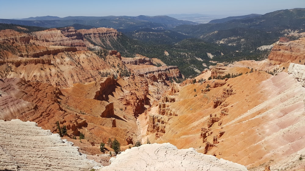 a canyon with a few trees with Cedar Breaks National Monument in the background