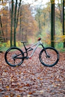 a bicycle parked in a wooded area