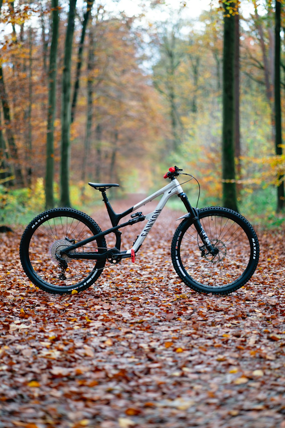 a bicycle parked in a wooded area