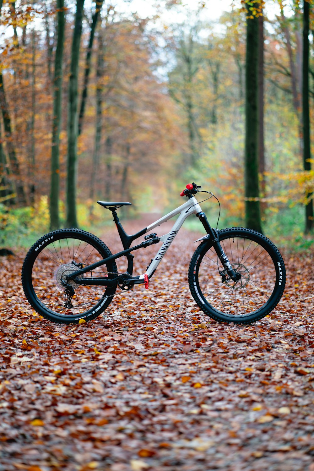 숲이 우거진 지역에 주차된 자전거