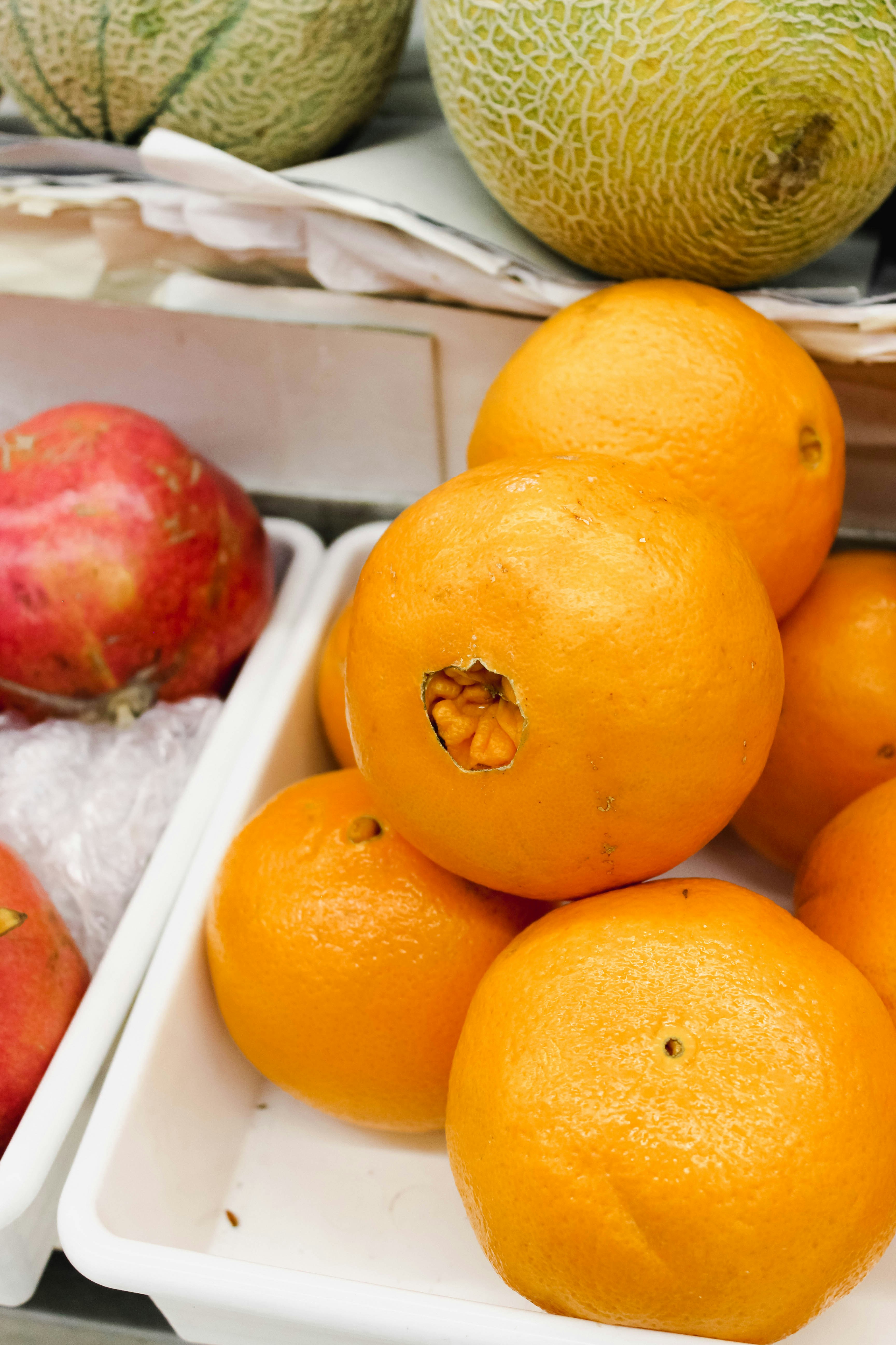 Photo by imjessicatr