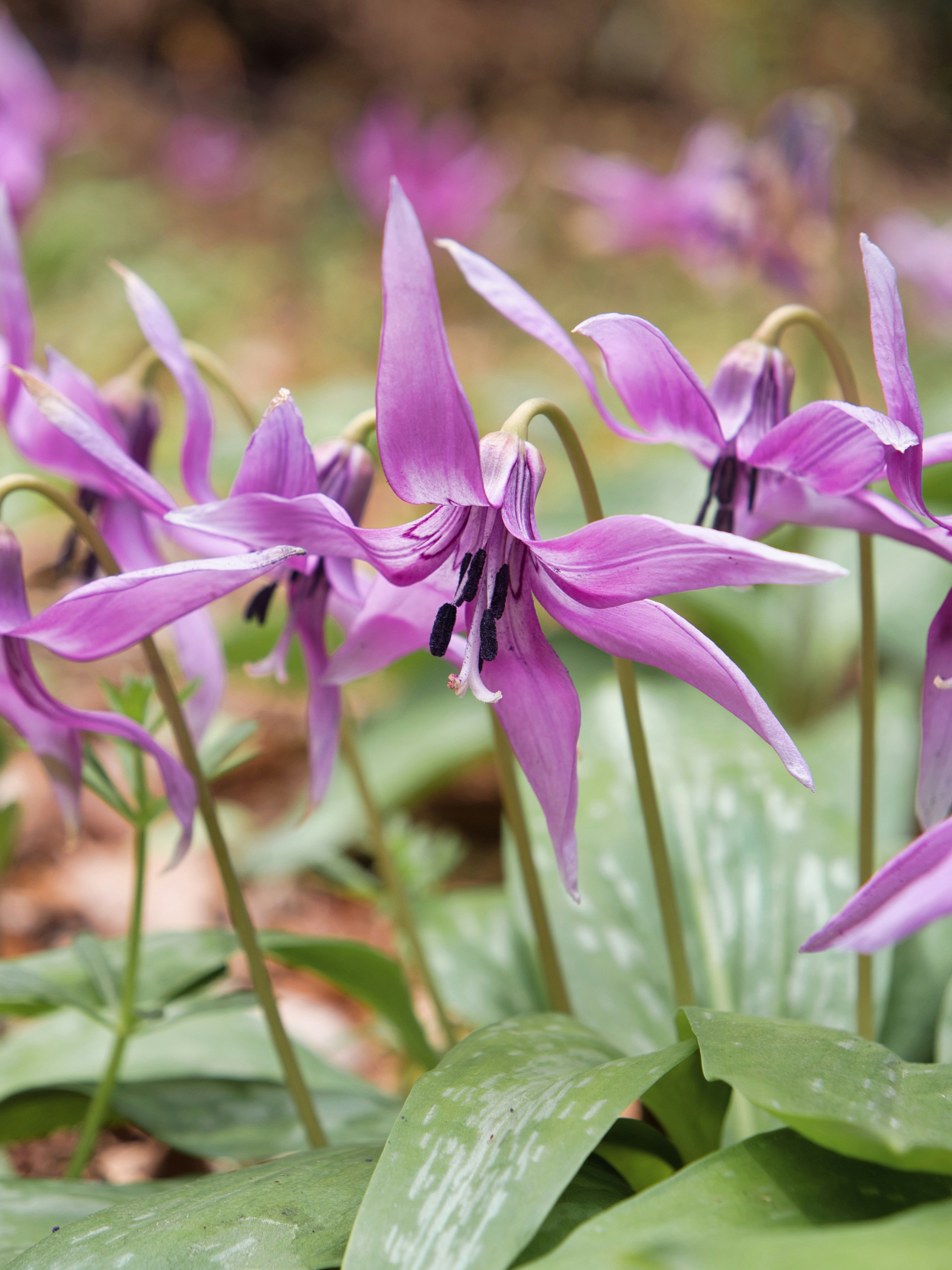 Photo by murakami1991