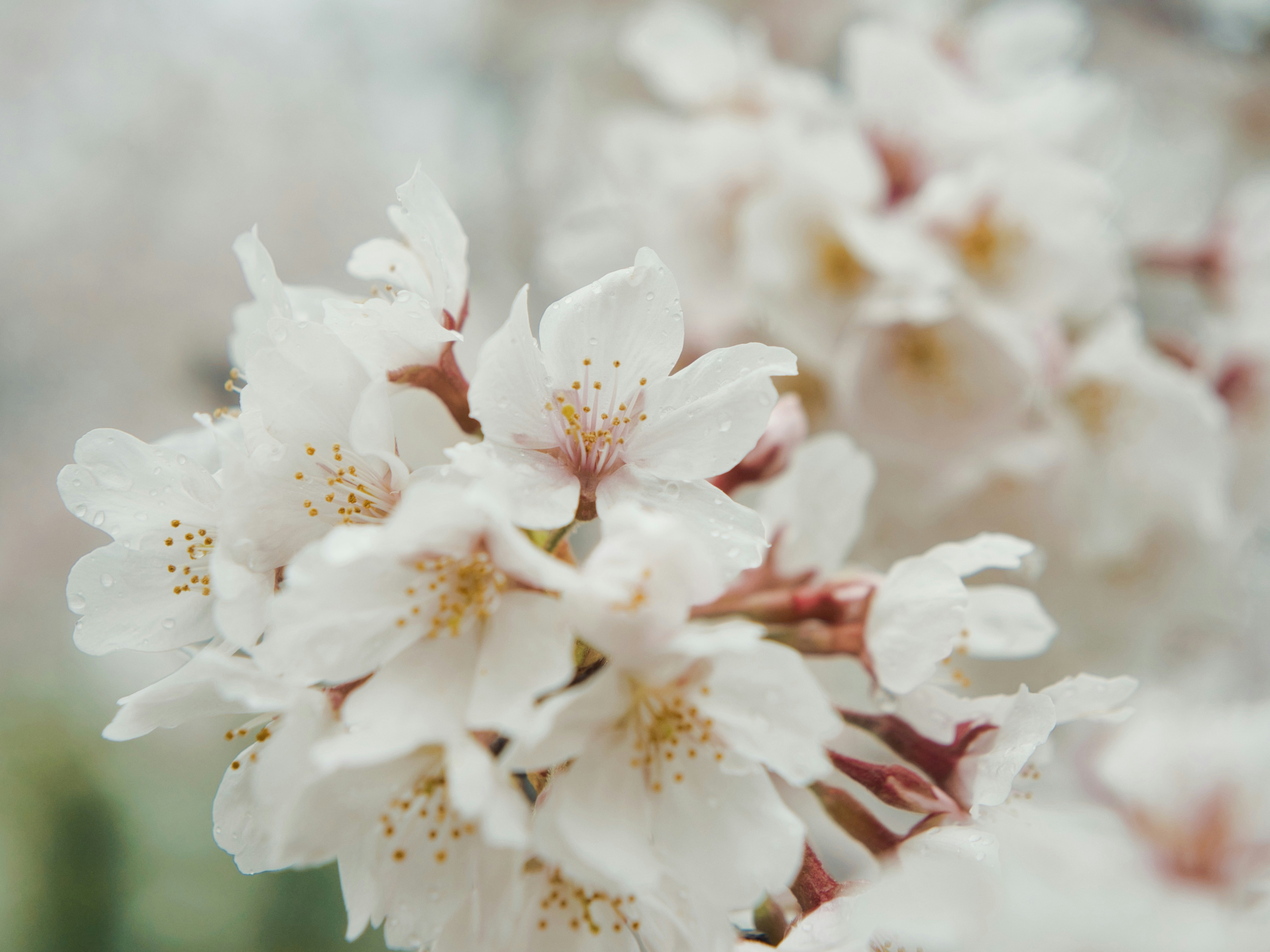 Photo by murakami1991