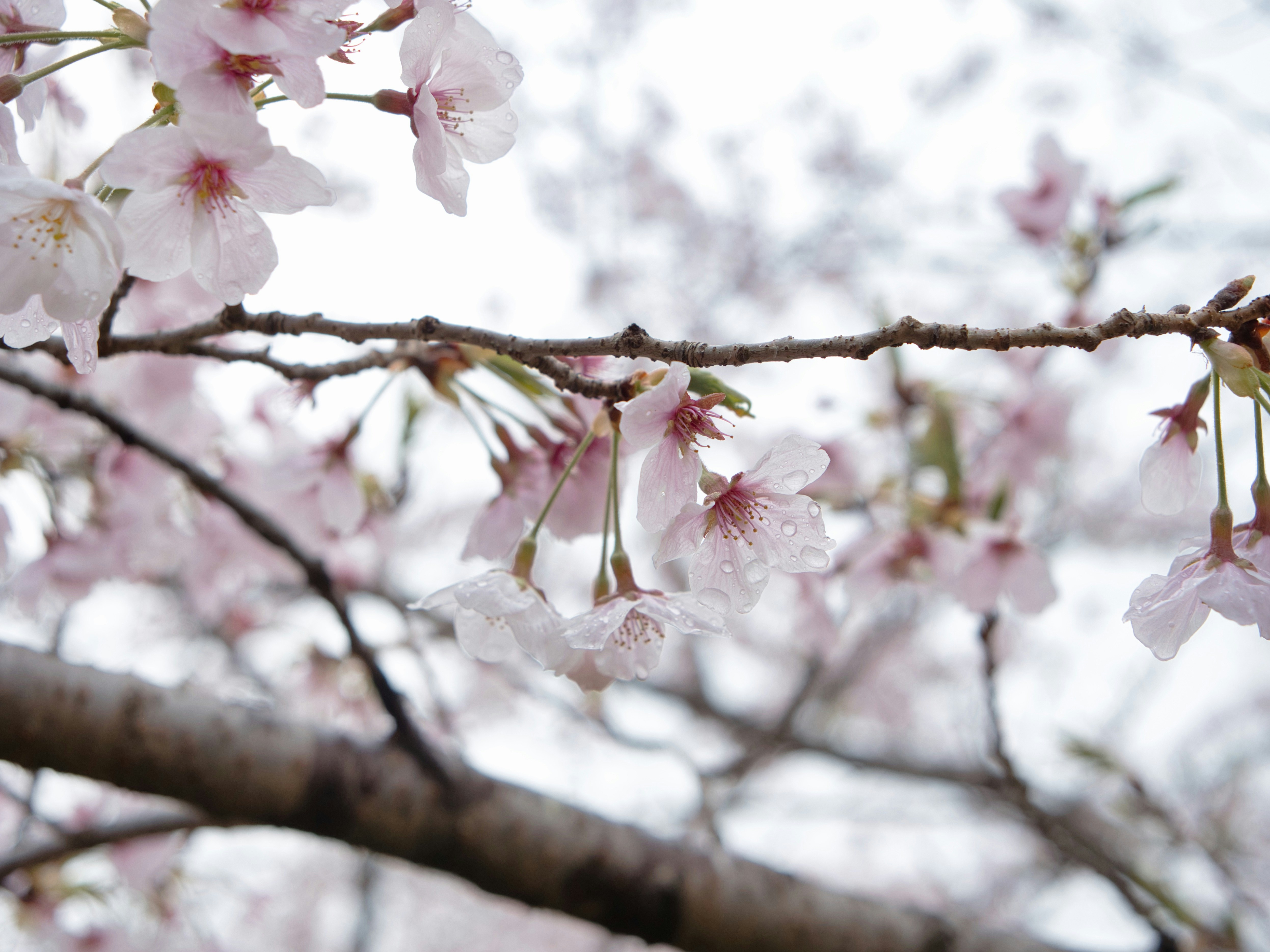 Photo by murakami1991