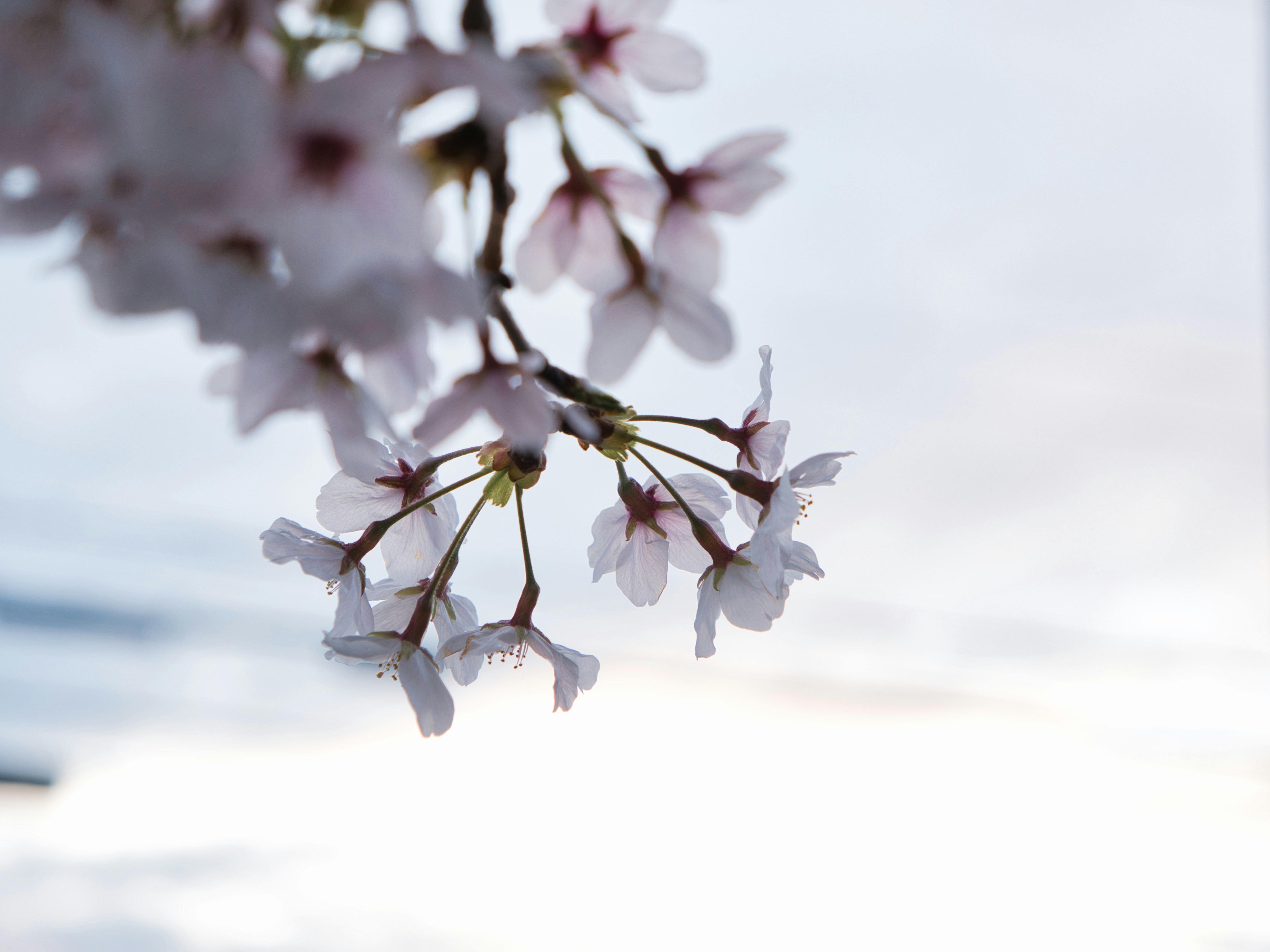 Photo by murakami1991