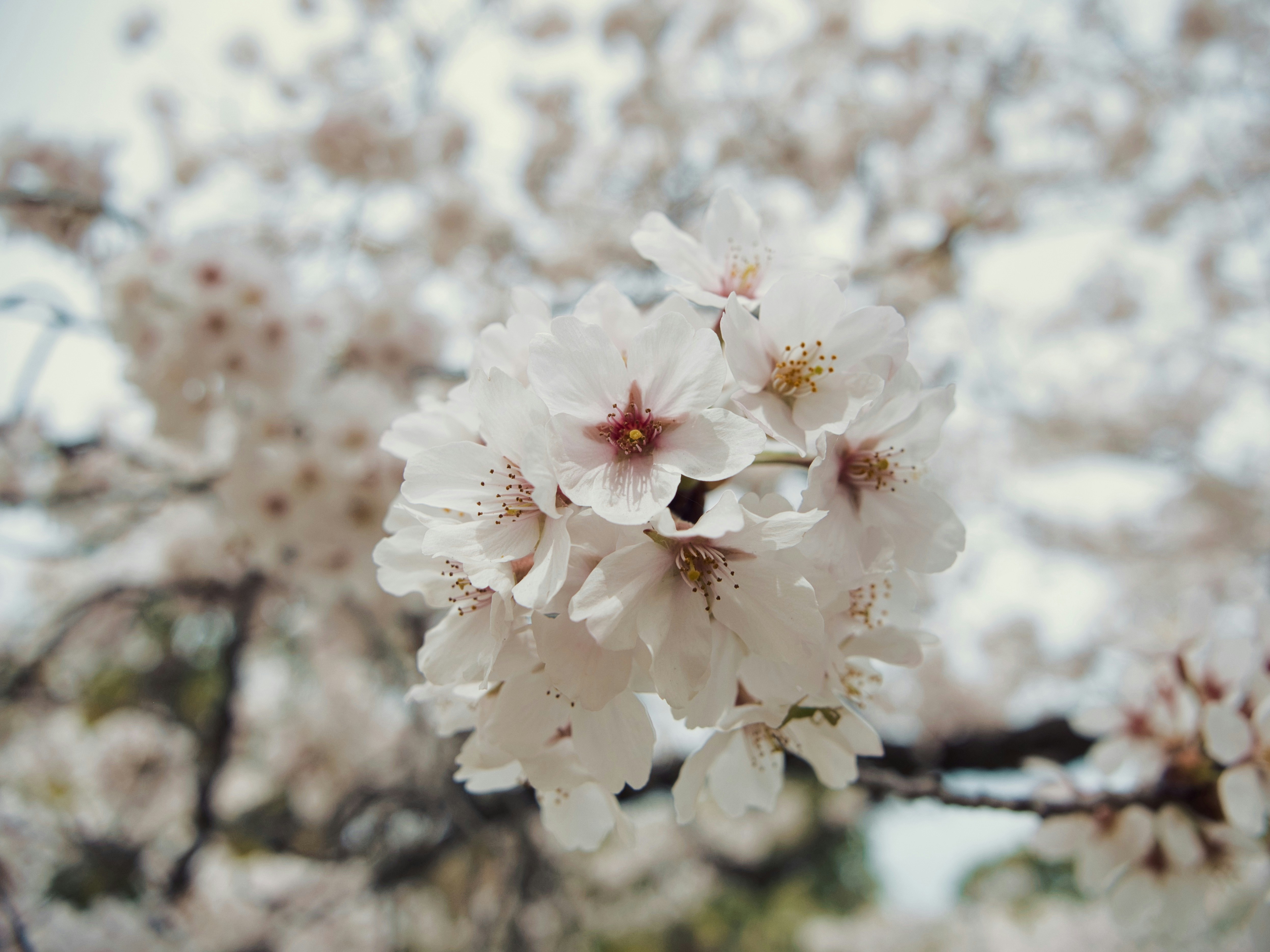 Ropa de primavera ligera