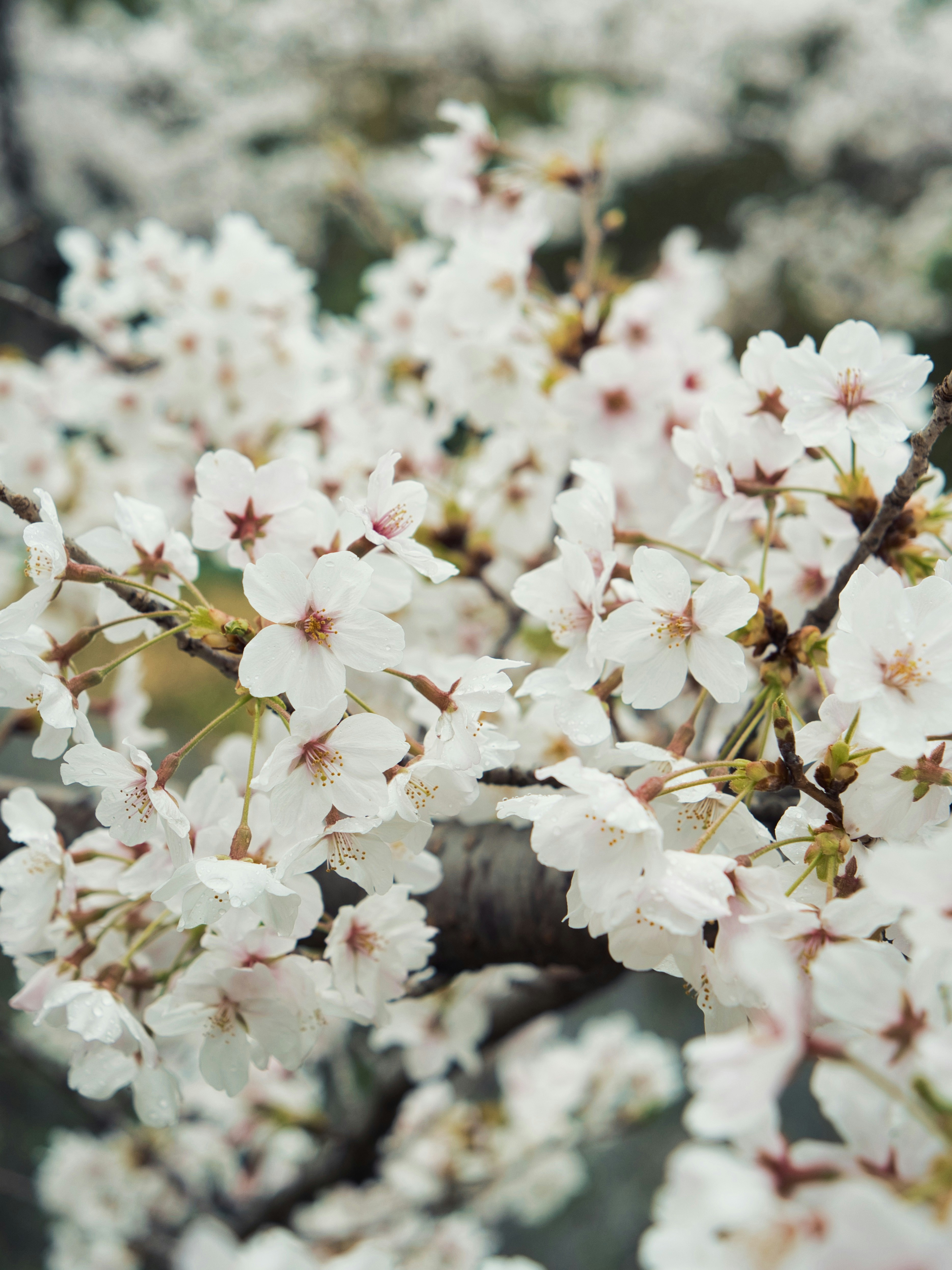 Photo by murakami1991