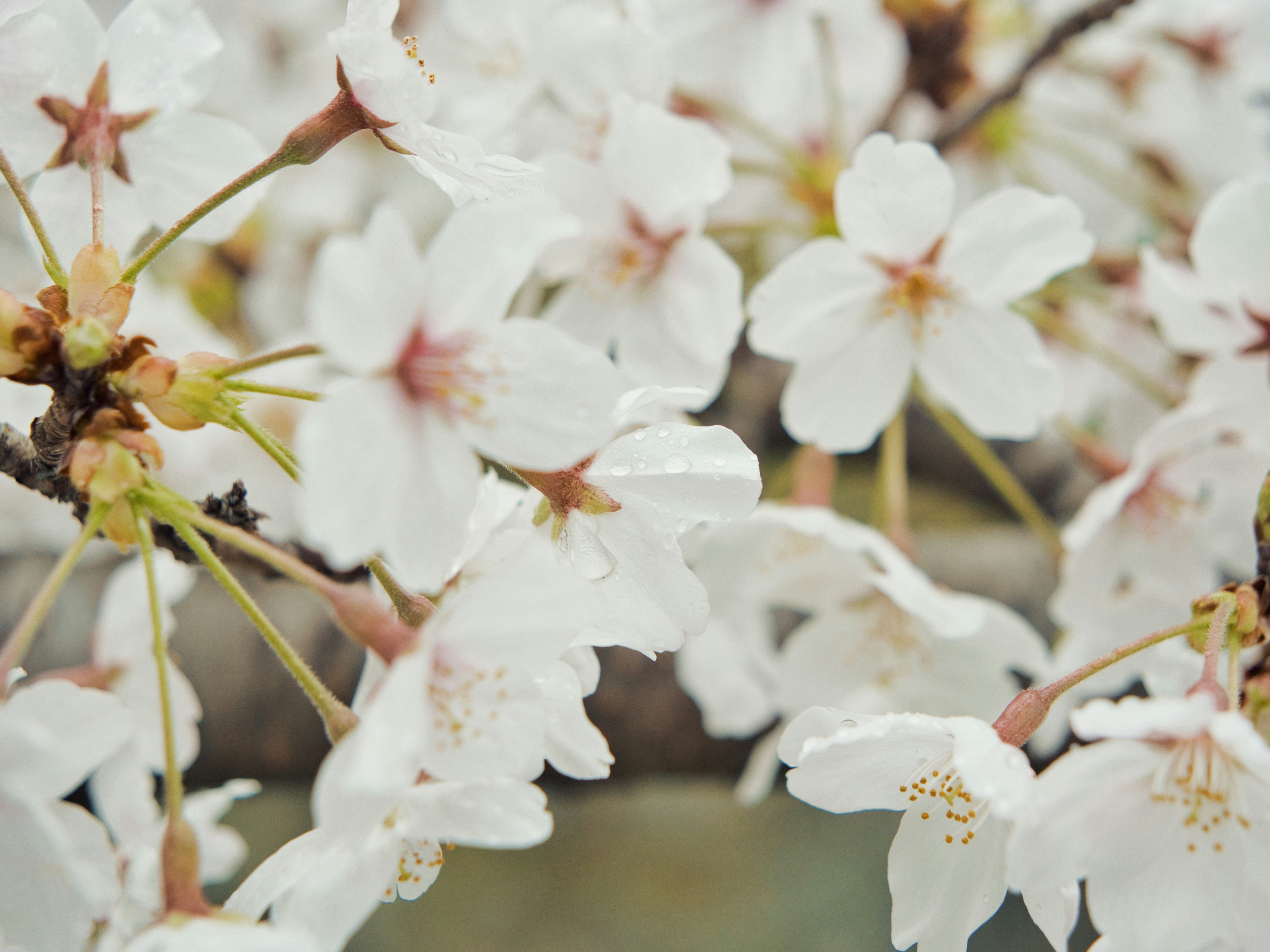 Photo by murakami1991