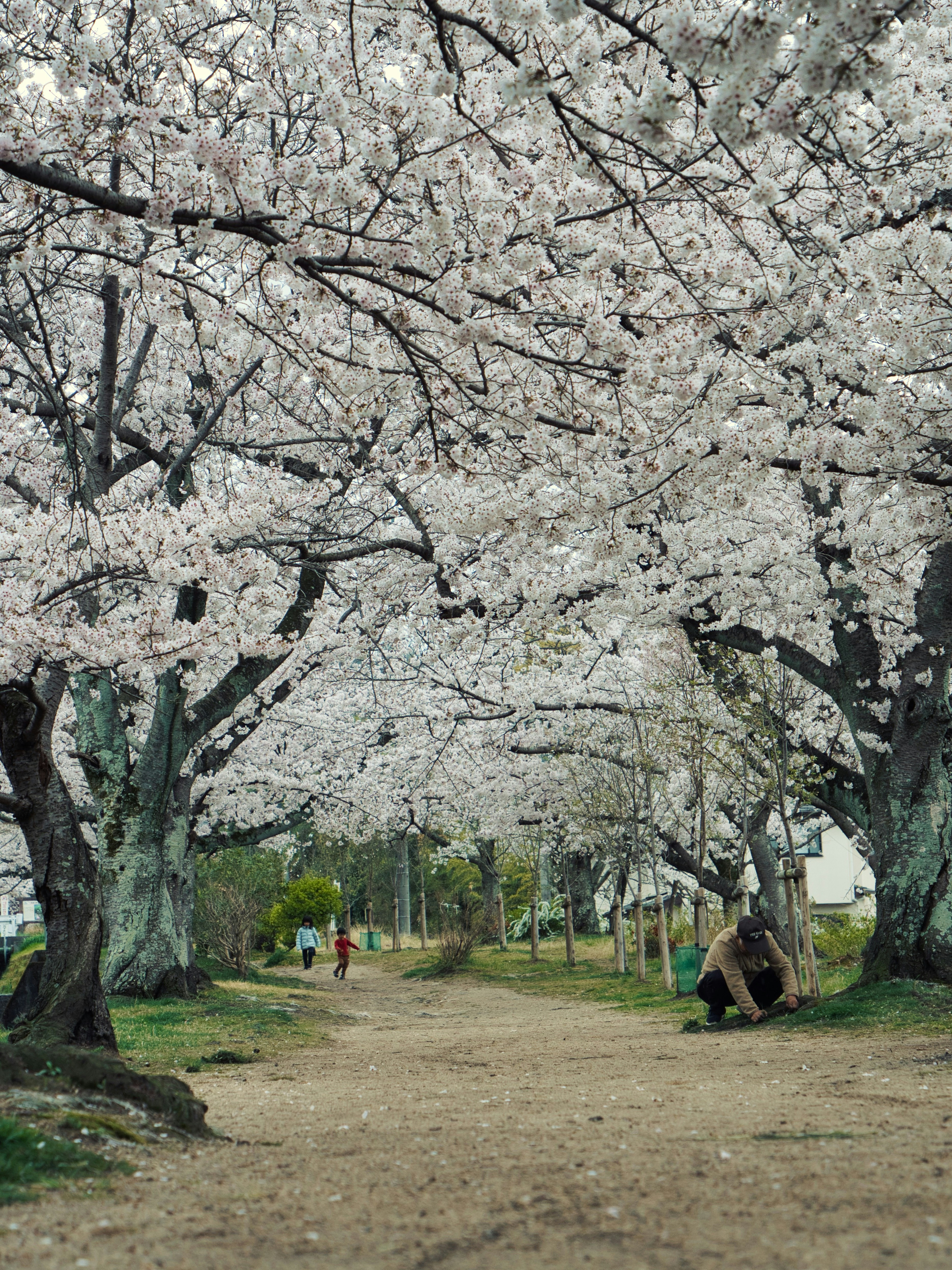 Photo by murakami1991