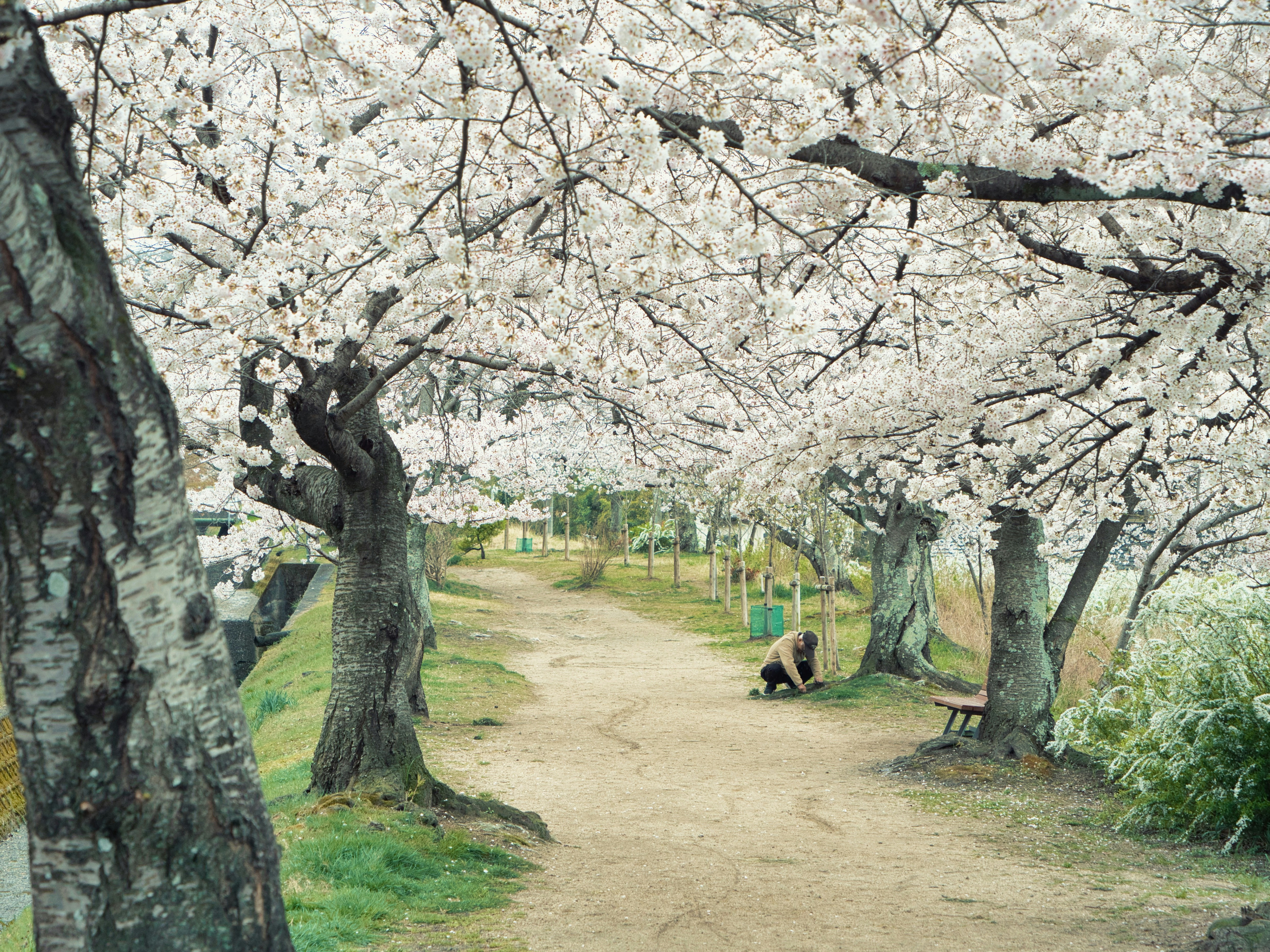 Photo by murakami1991