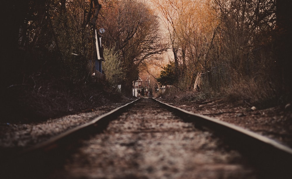 a train track with trees on either side of it