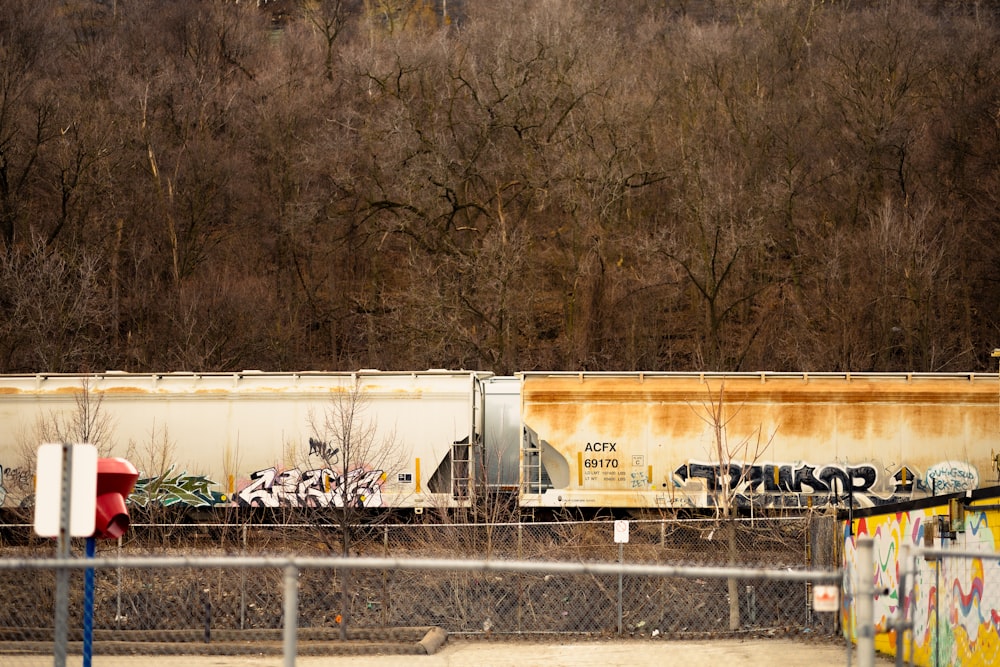 Ein Zug auf den Bahngleisen