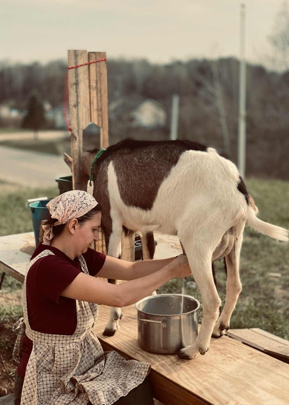 Goat Milk: A Comprehensive Guide to Its Benefits and Uses