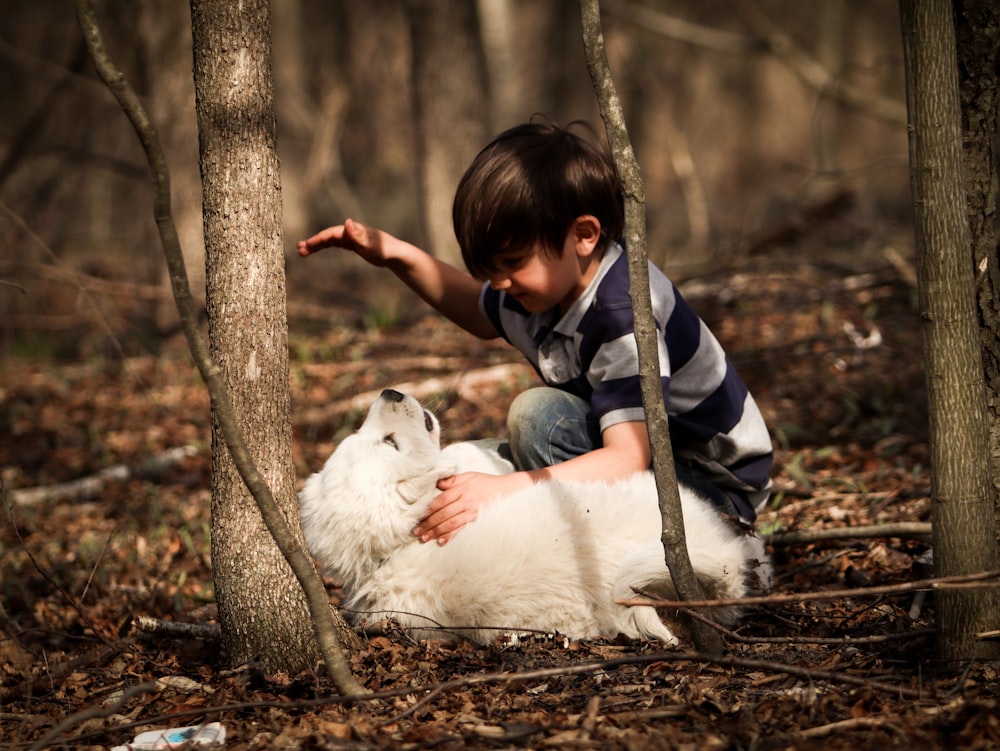 Un enfant jouant avec un mouton